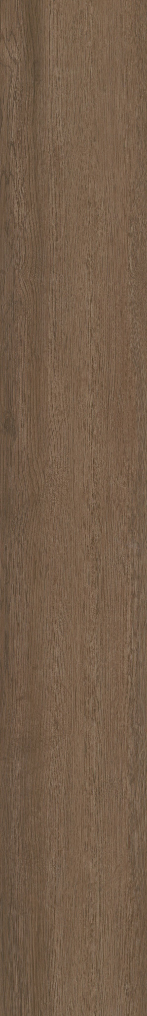 INFINITE SPC RAW SIENNA 1TO1