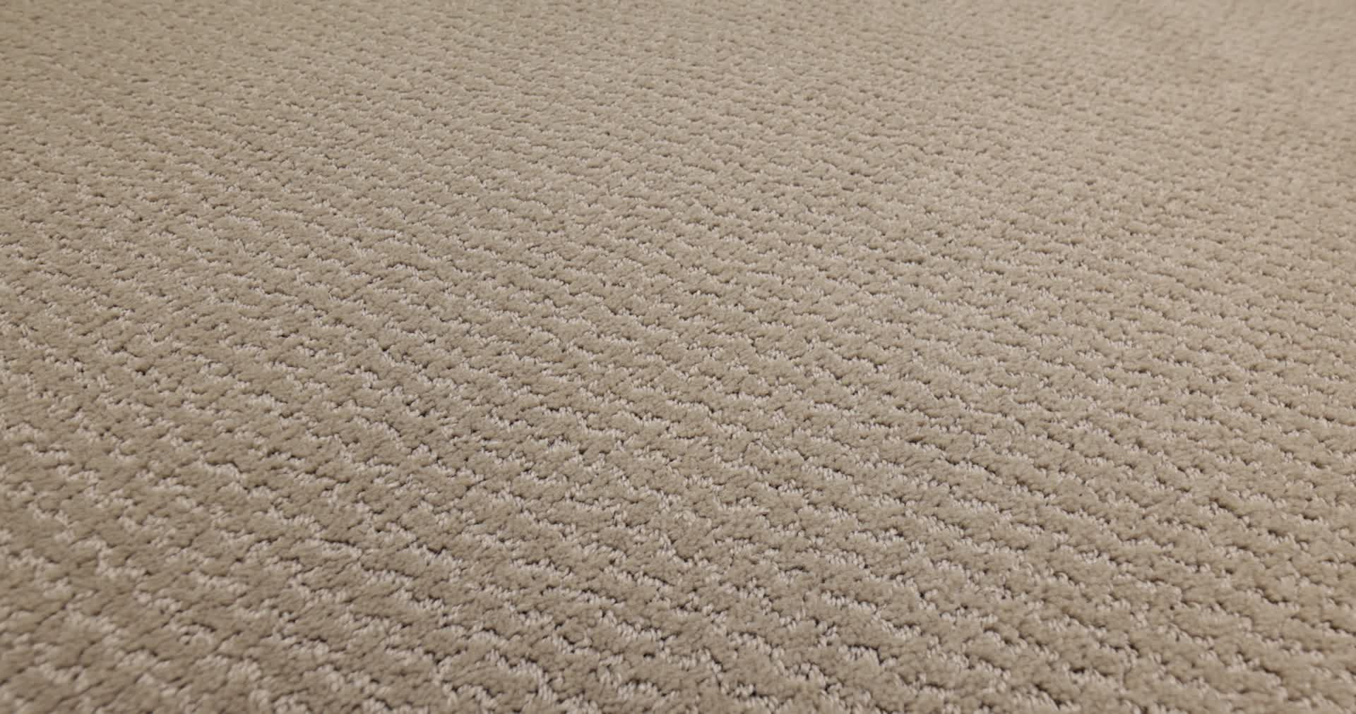 WARM MEMORIES DOCKSIDE VIEW 360PROD