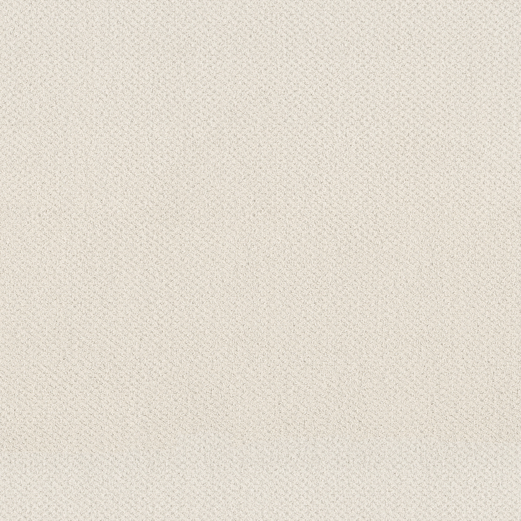 MAINSTAY SERENE STILL MAIN