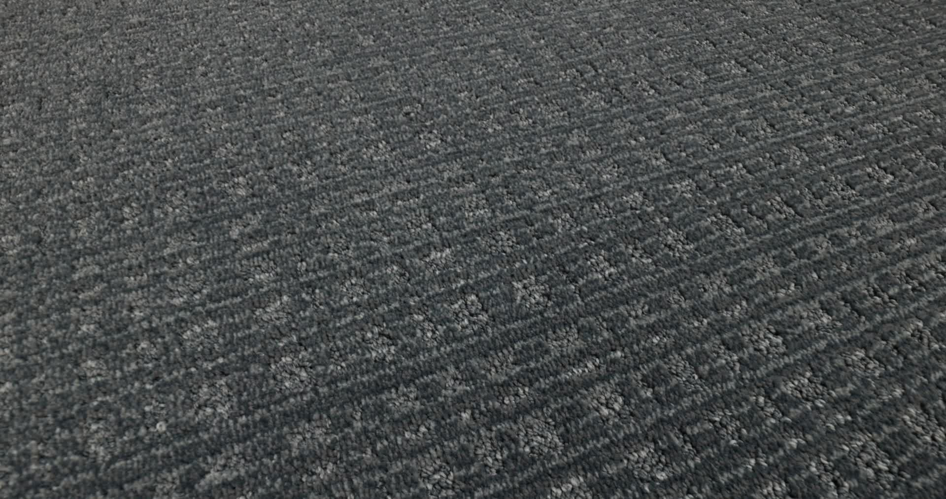 PURRSUASION WATERLOO 360PROD