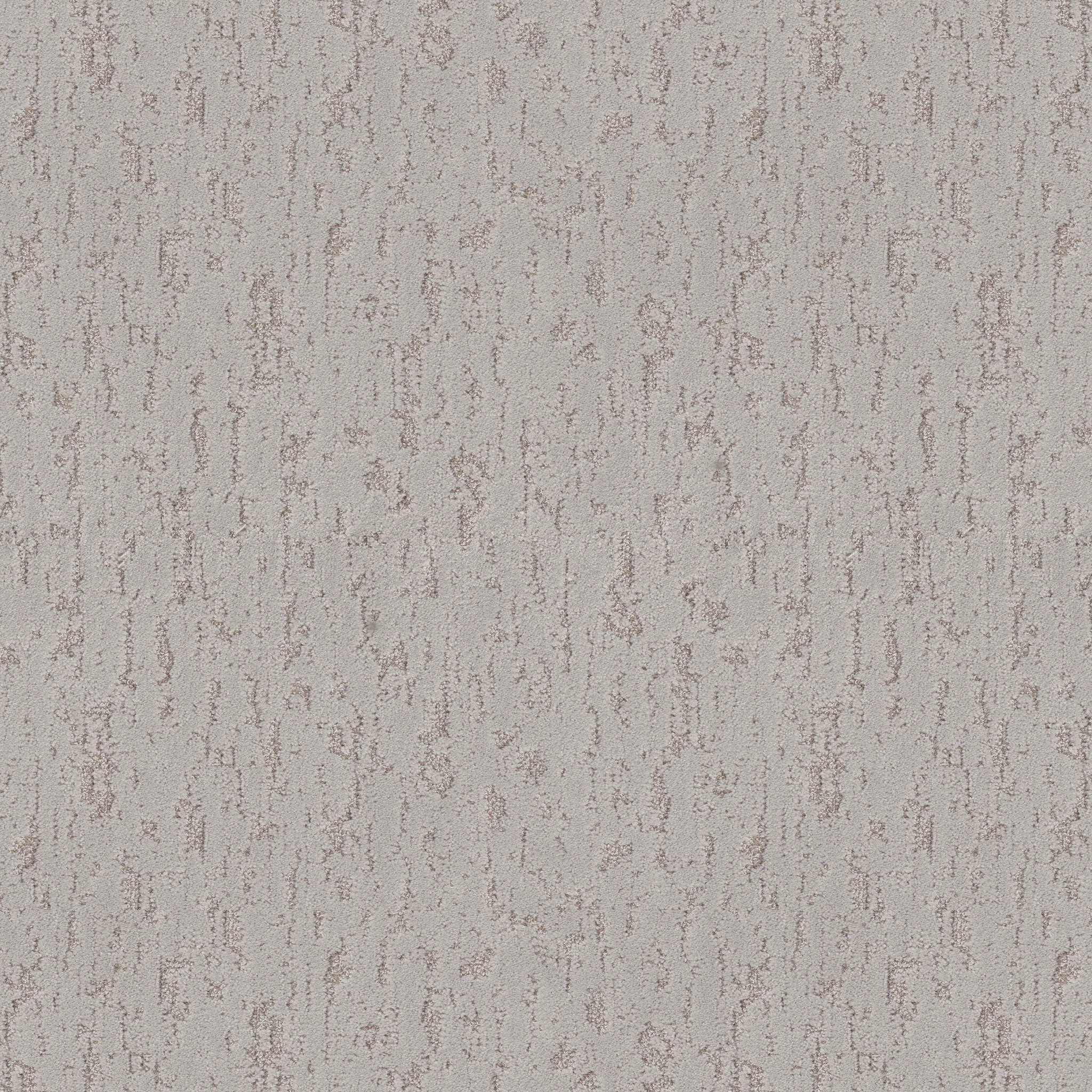 CALM EXPRESSION PLASTER MAIN