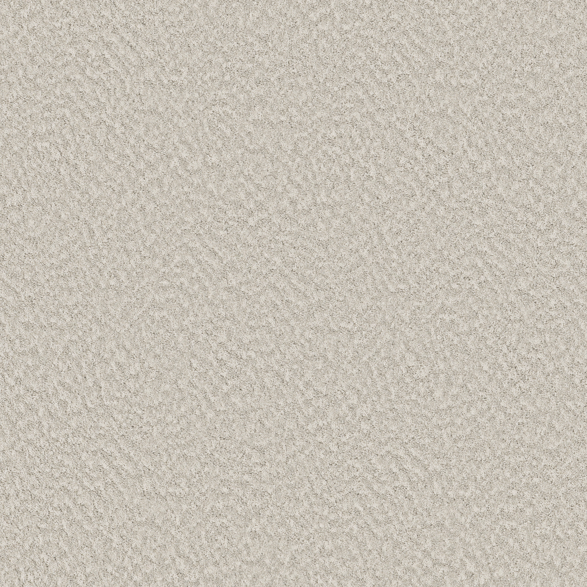 ALLURING CANVAS CHAMPAGNE TOAST MAIN