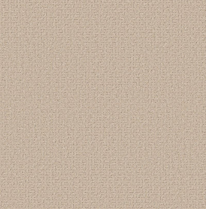 Secret Journey 5E875 Broadloom Carpet in Baja color, made of 100% PET Polyester, 12ft wide, 125ft roll length.