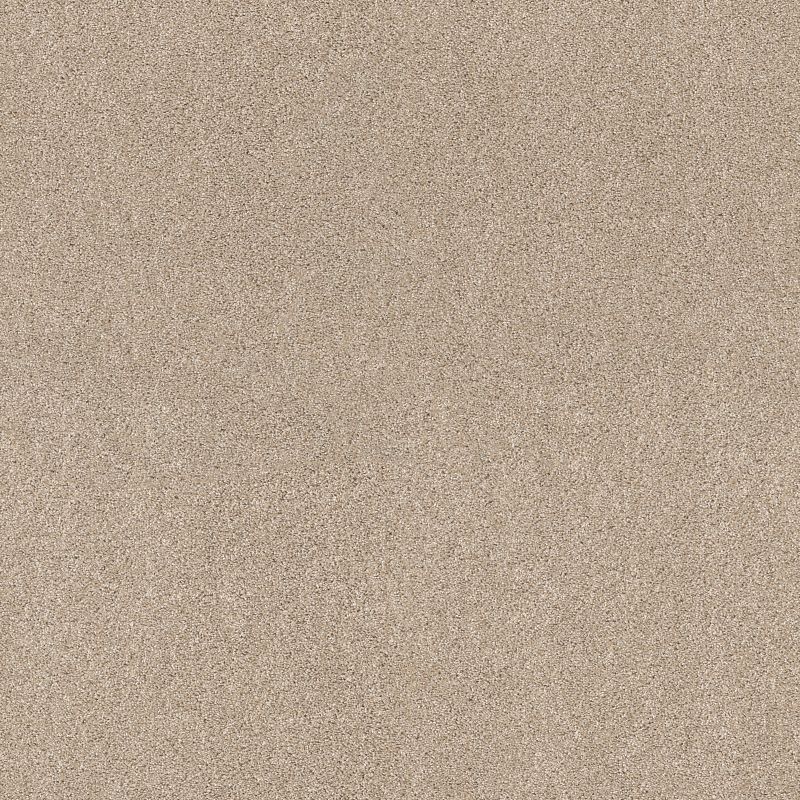 Ocean View ZZ043 Broadloom Carpet in Caribou color, 12ft wide, made from 100% nylon