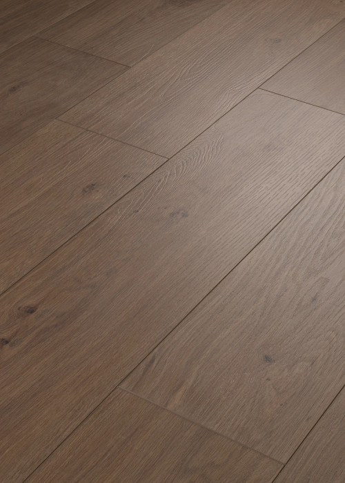 Tuxedo Bronze