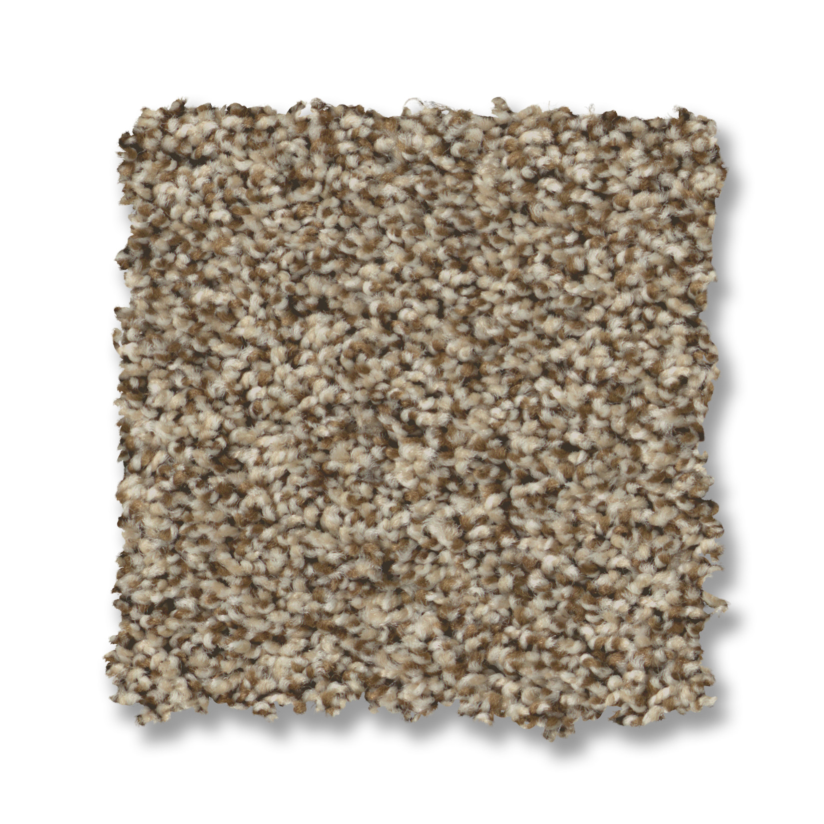 PRESCOTT VALLEY ROASTED SWATCH