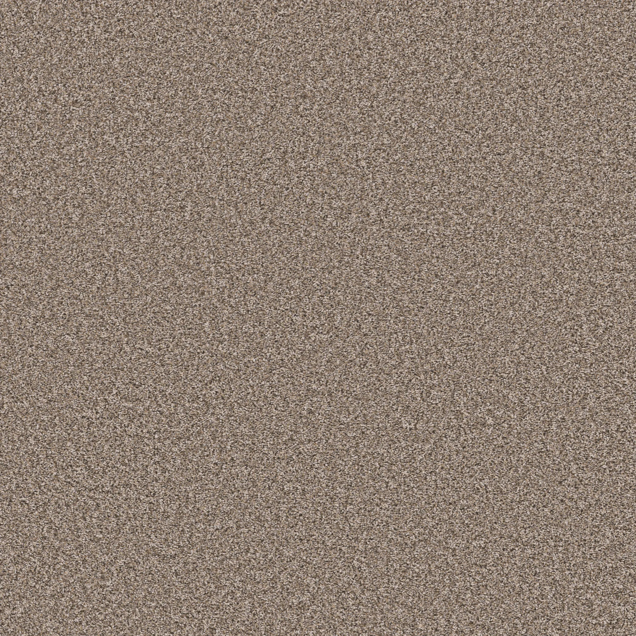 Textured beige carpet swatch showcasing a blend of light and dark fibers for a cozy and durable flooring option