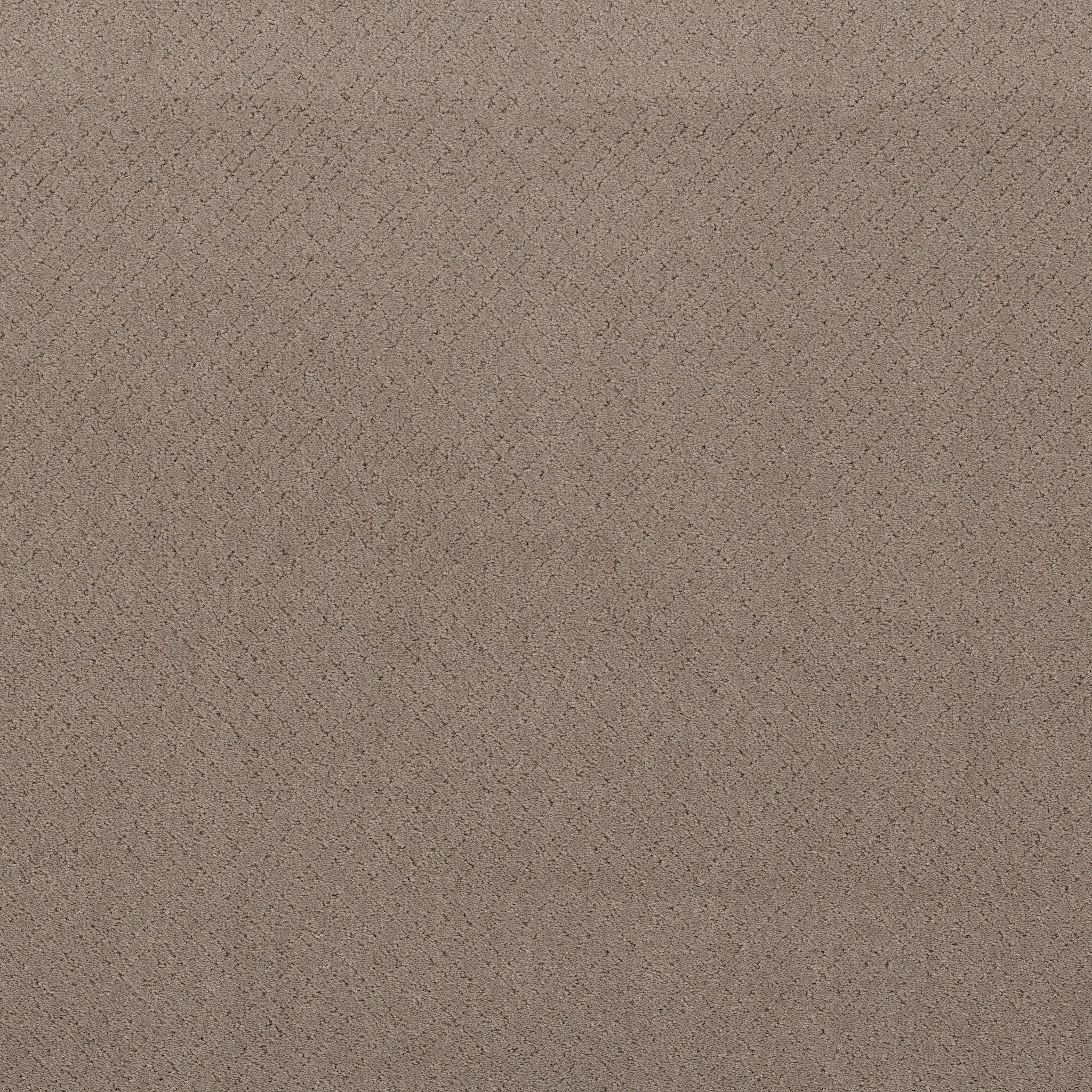 MOSAIC SOCIALITE MAIN