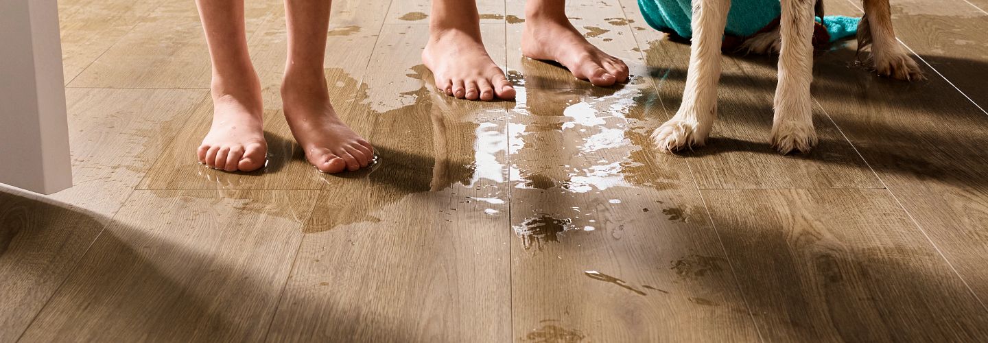 children and dogs standing on shaw floors mineral core flooring with wet dripping feet