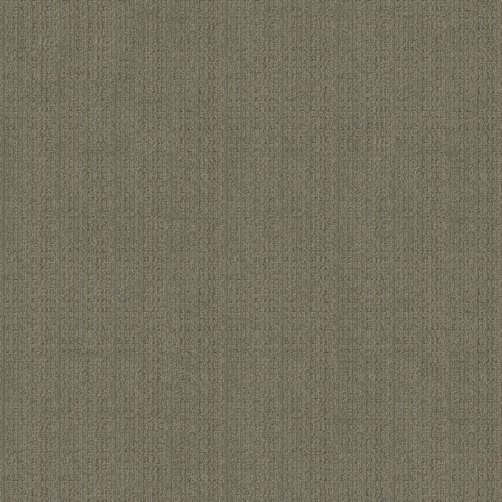 PURRSUASION URBAN JUNGLE MAIN