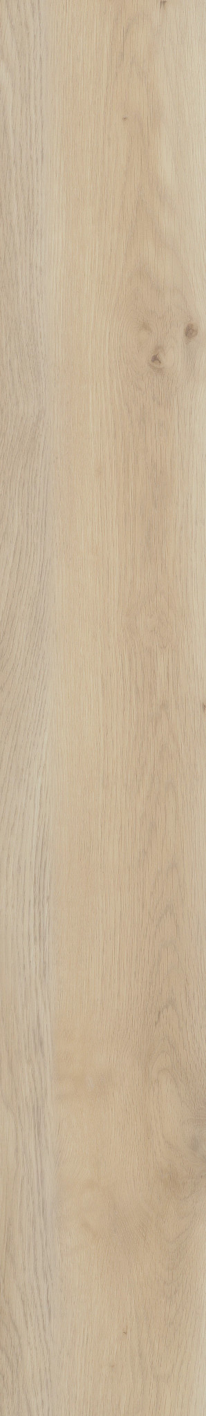 PARAGON HD+NATURAL BEVEL CAMBRIDGE 1TO1