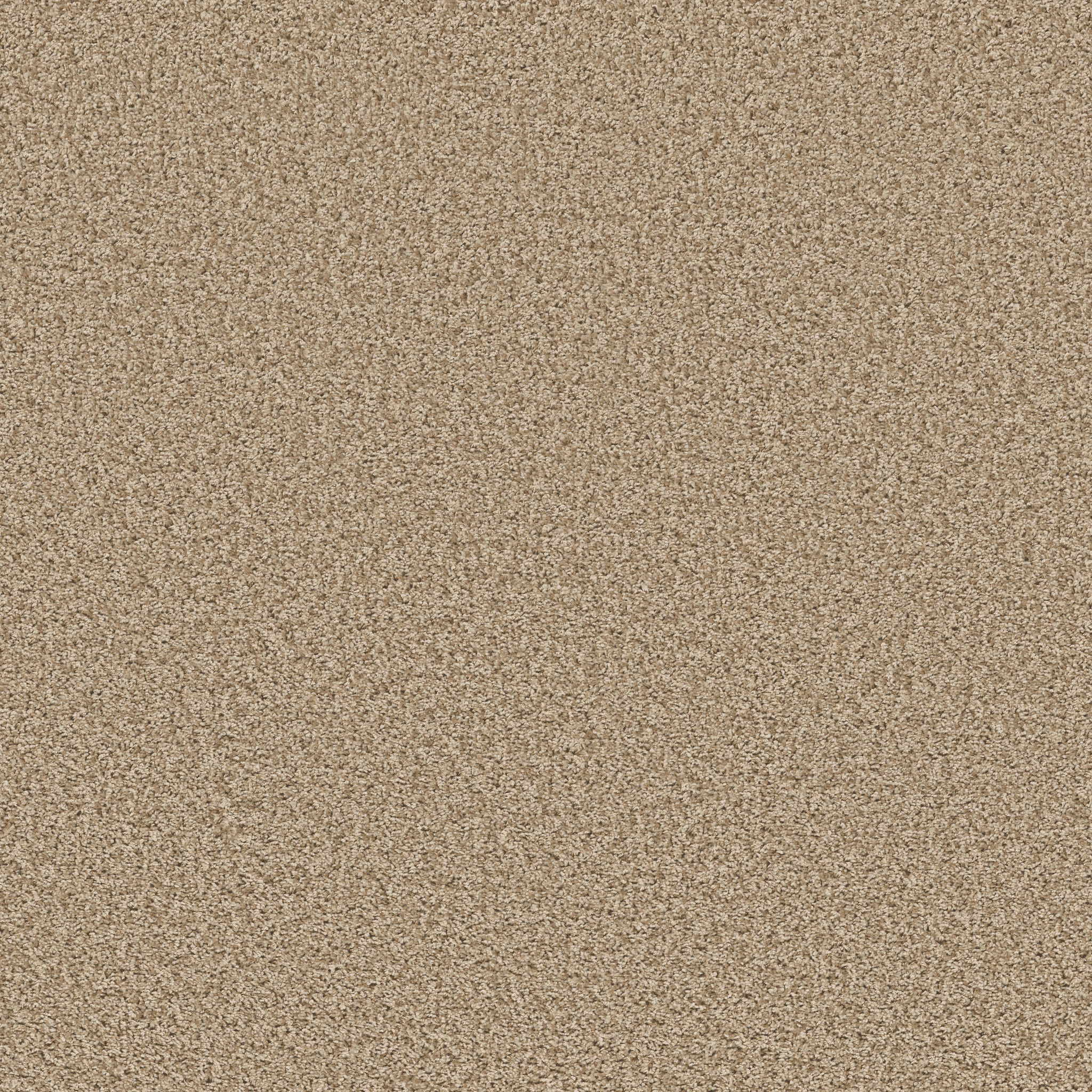 COLOR FLAIR CORNMEAL MAIN