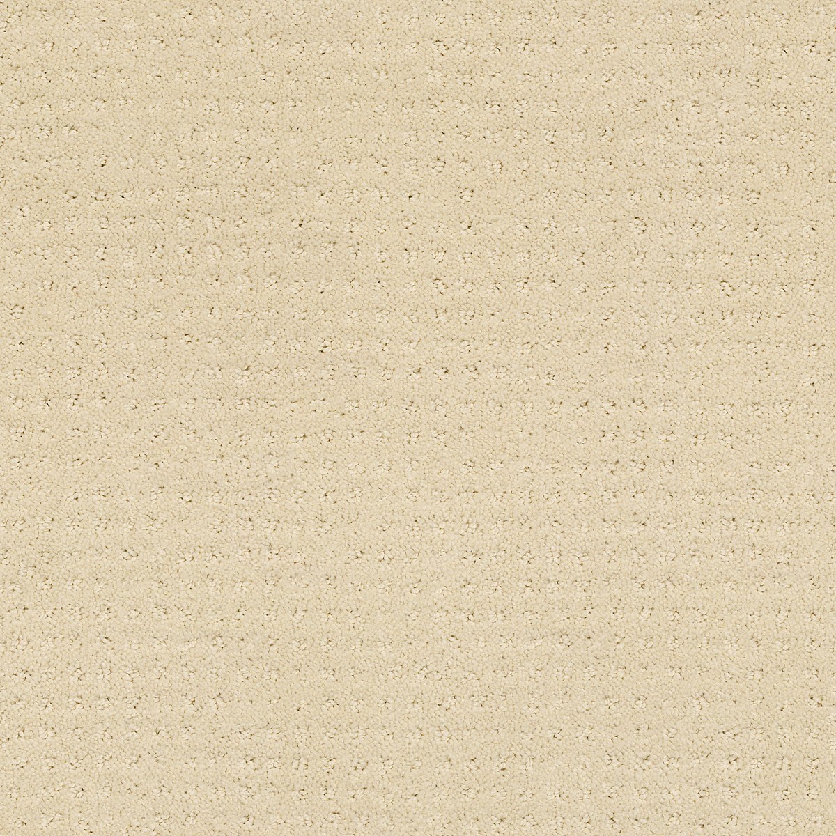 Shaw Floors LOYAL BEAUTY PATTERN — CANDLEWICK GLOW