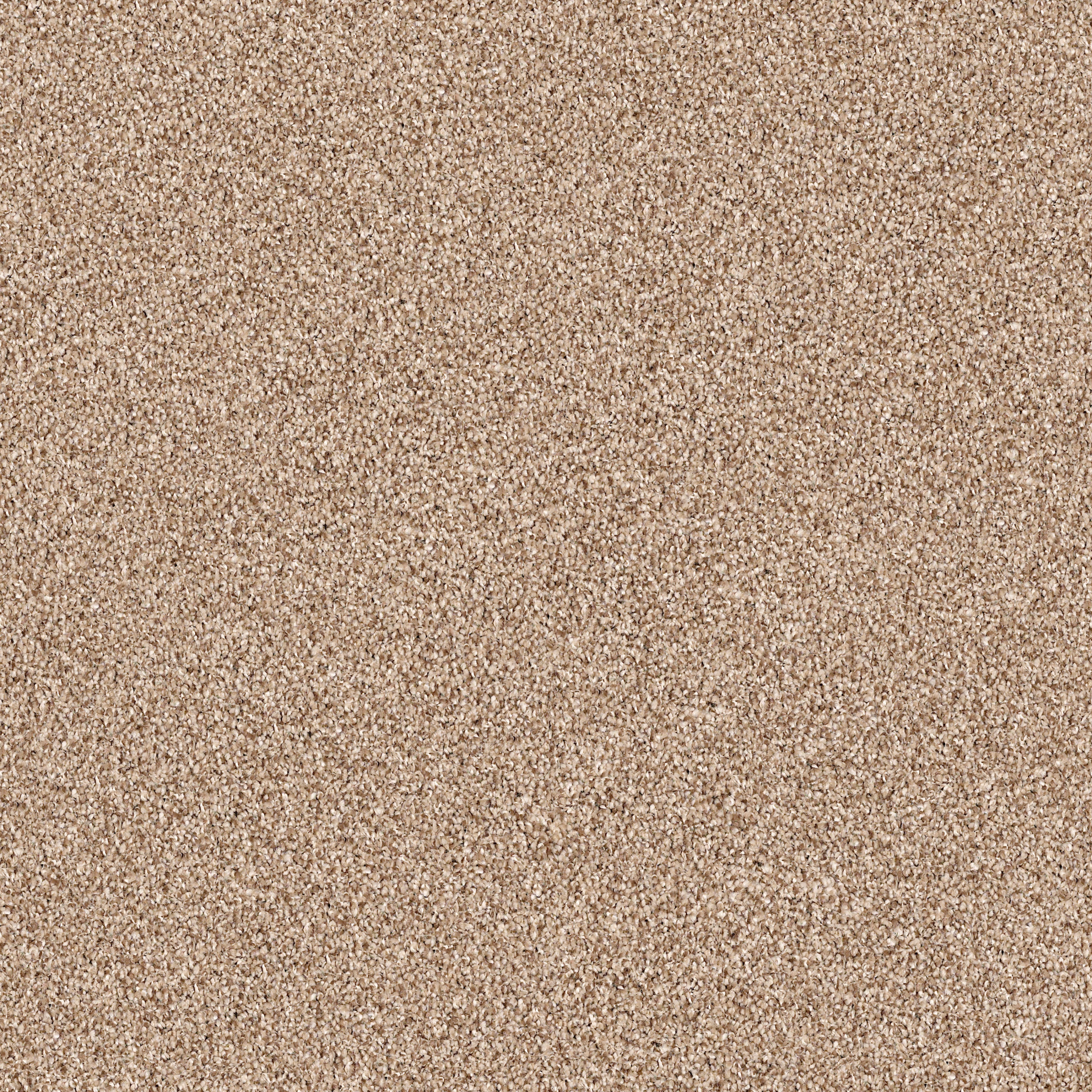 GOLD TEXTURE TONAL HIDDEN TREASURE MAIN