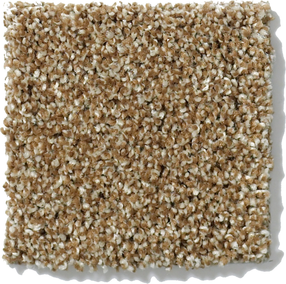 PICTURESQUE LEATHER BOUND SWATCH