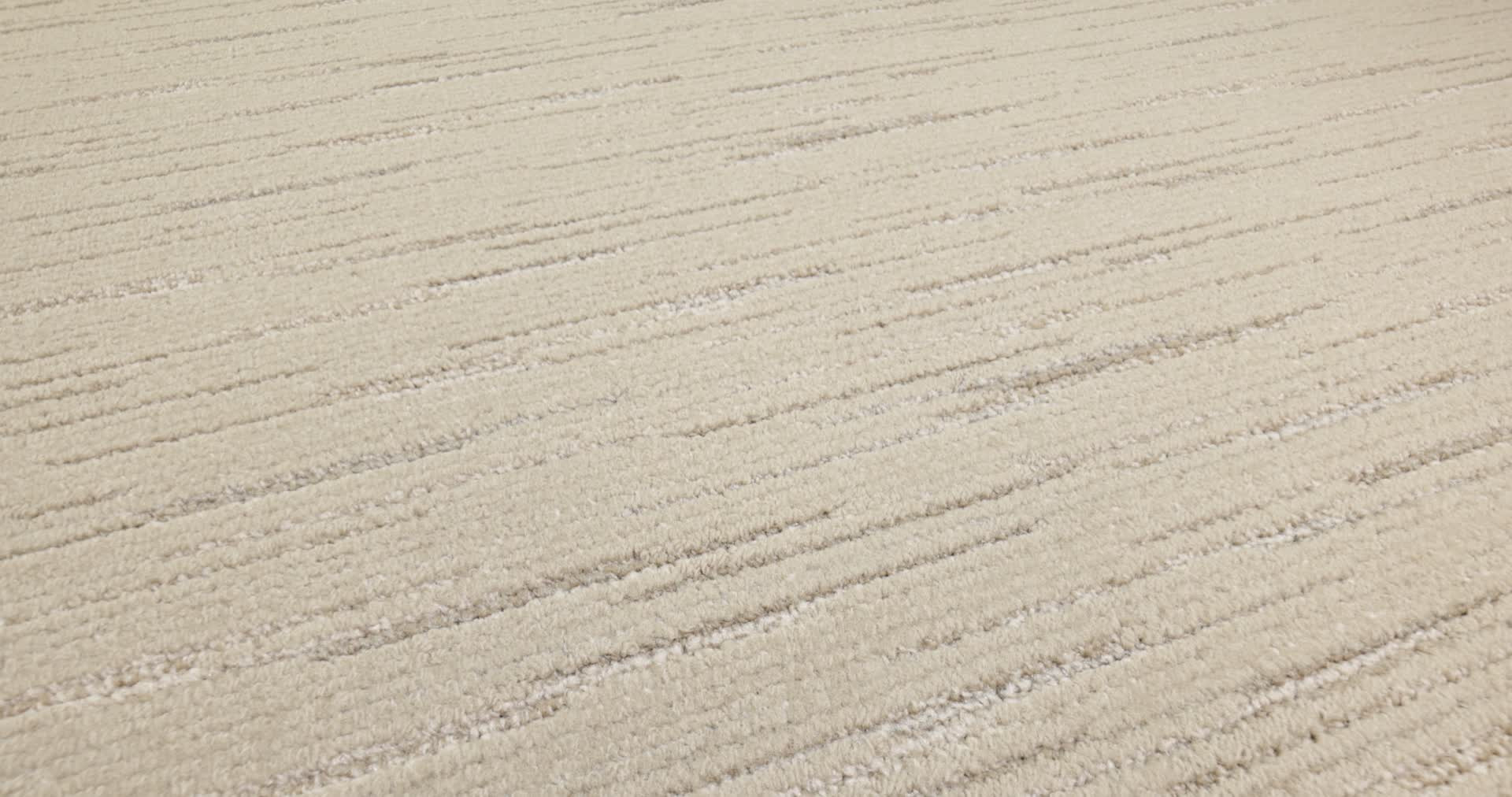 Retreat Sand Dollar Rotation360