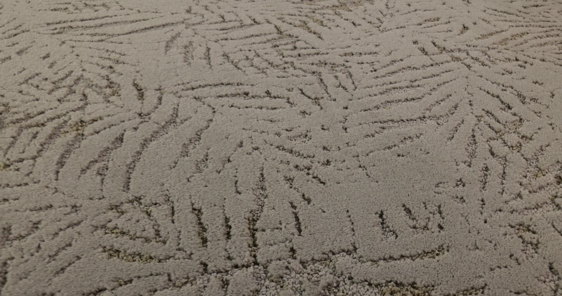 AUTOGRAPH CLASS ACT 360PROD