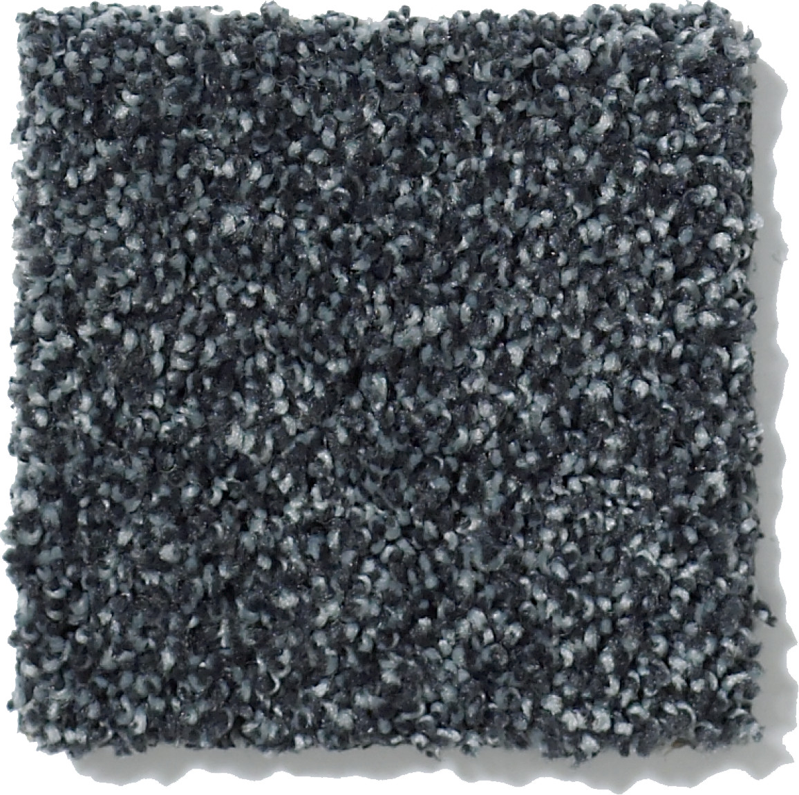 PICTURESQUE INDIGO SWATCH