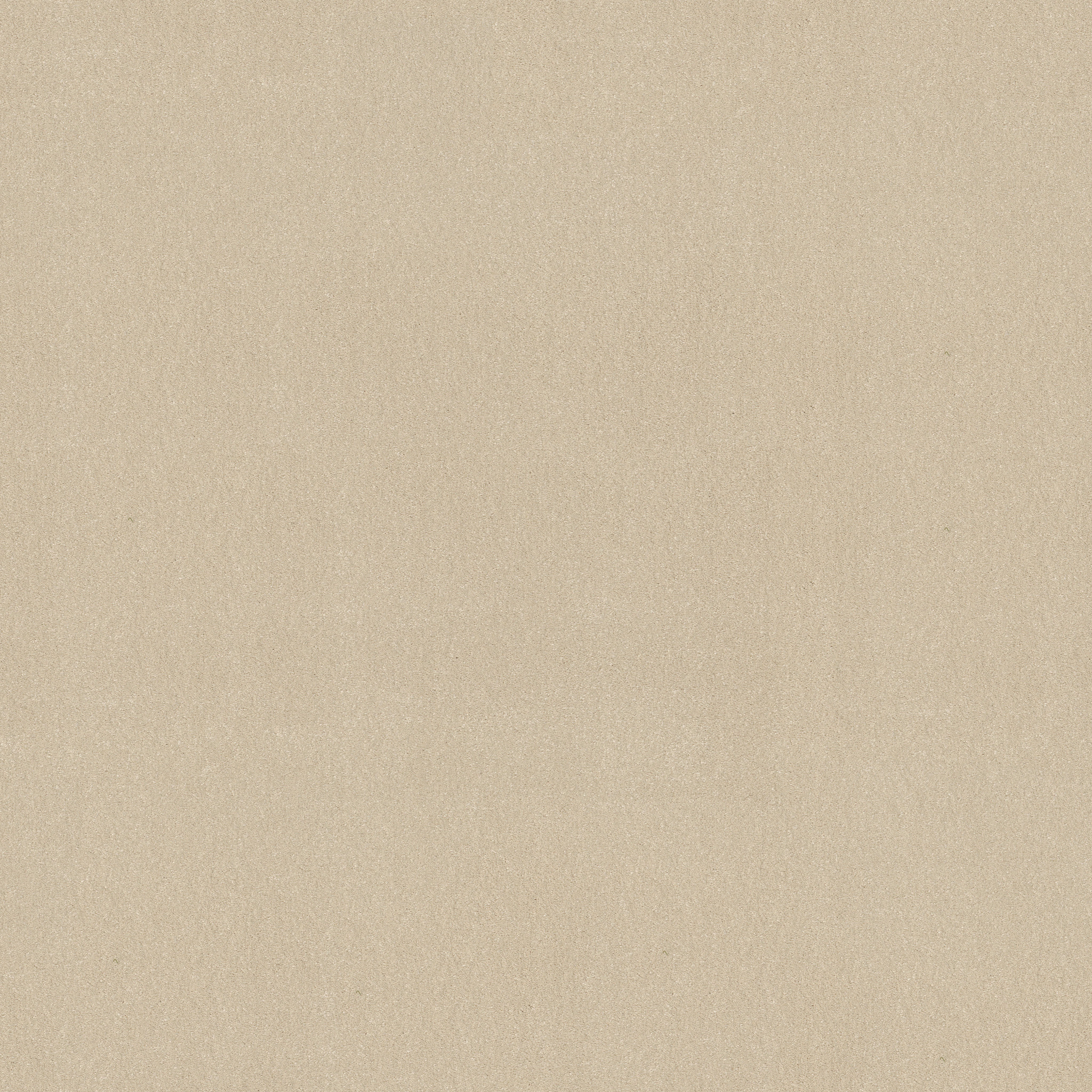 AWAKEN SPIRIT II 12' COTTAGE MAIN