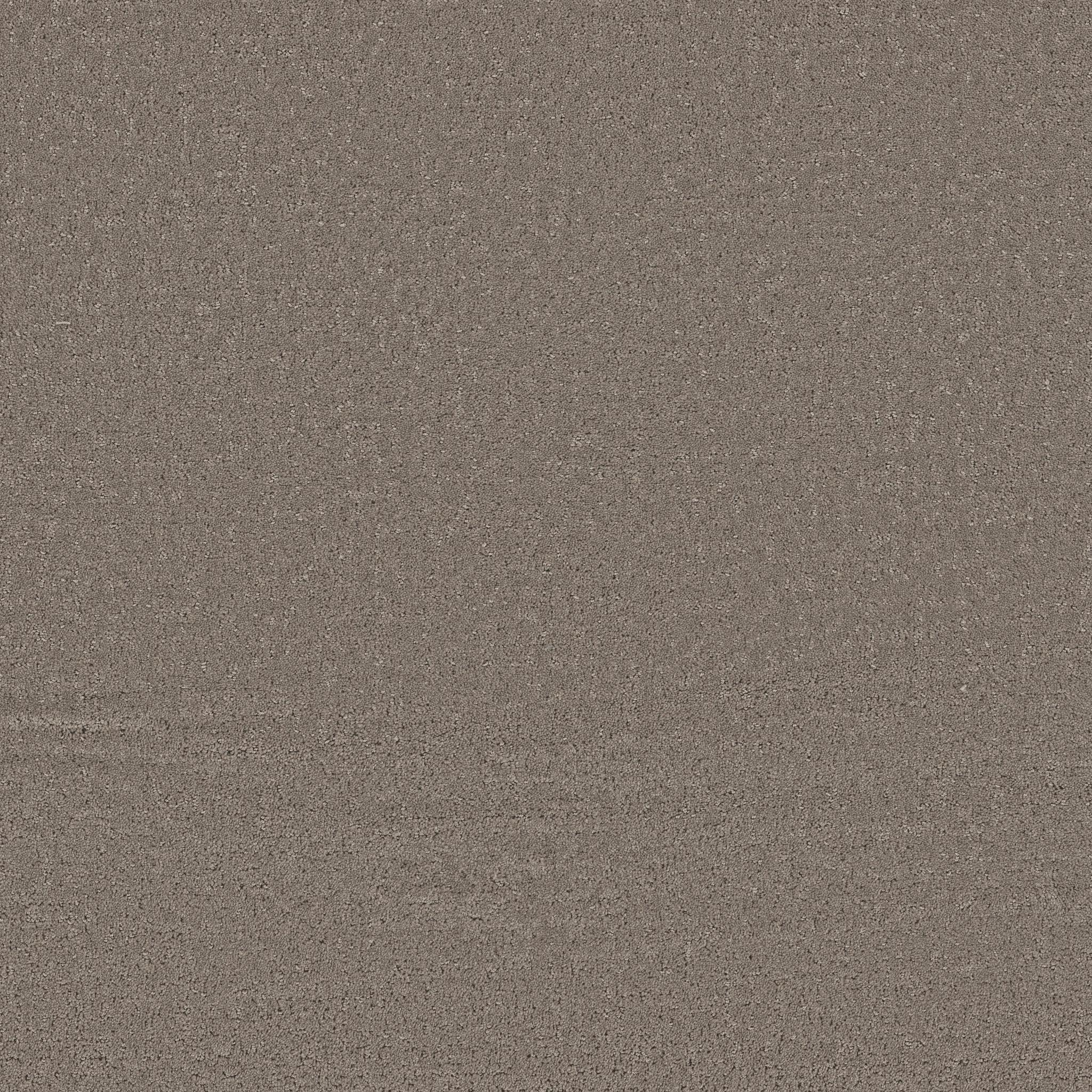 Refined Canvas in French Market