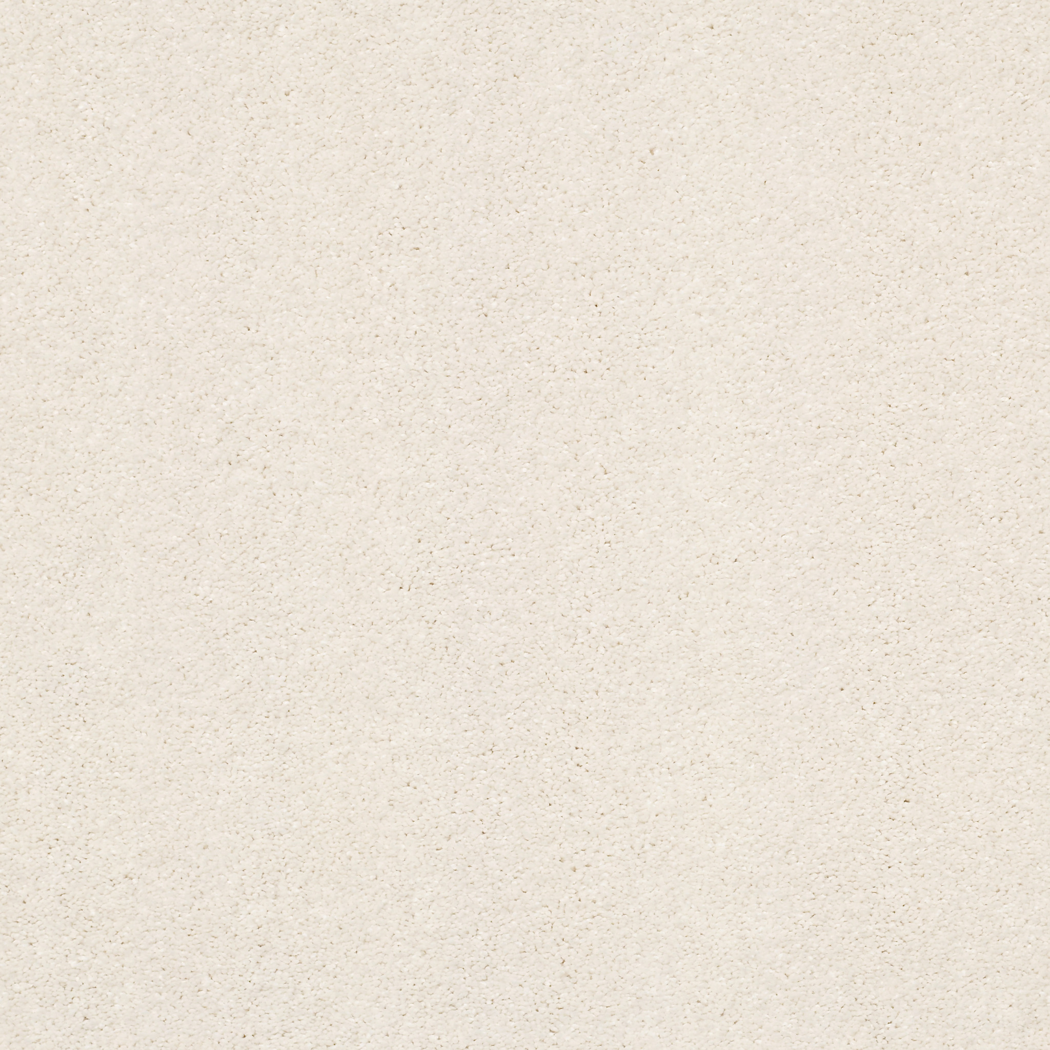 BASIC RULES OATMEAL MAIN