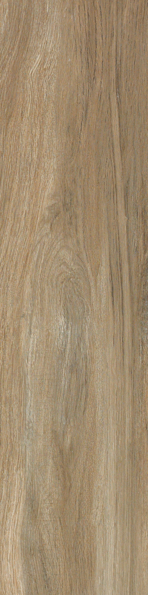 savannah 英語版 923 - 1944 3c Steamship 