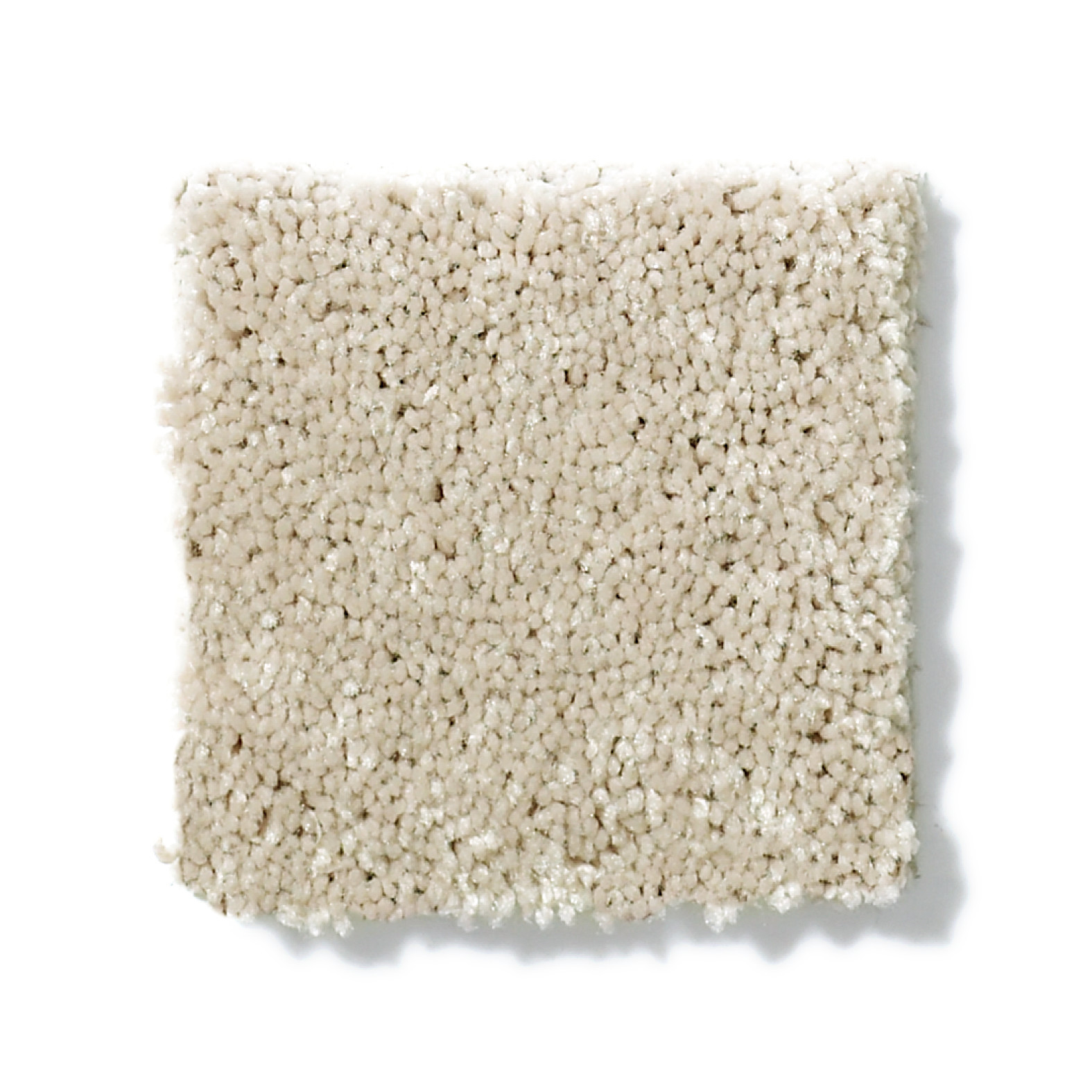 BEAUTIFULLY SIMPLE II 12 ECRU SWATCH