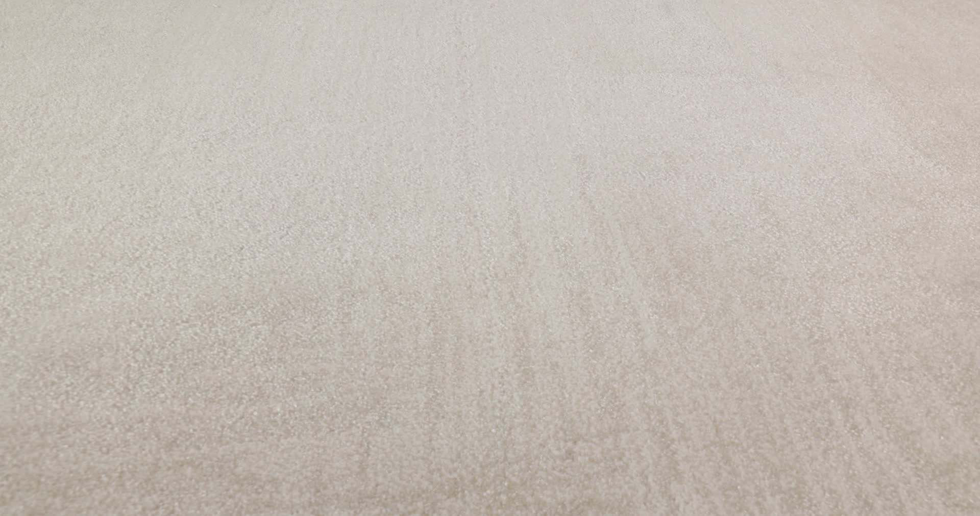 INSIGHTFUL JOURNEY DELICATE CREAM 360PROD