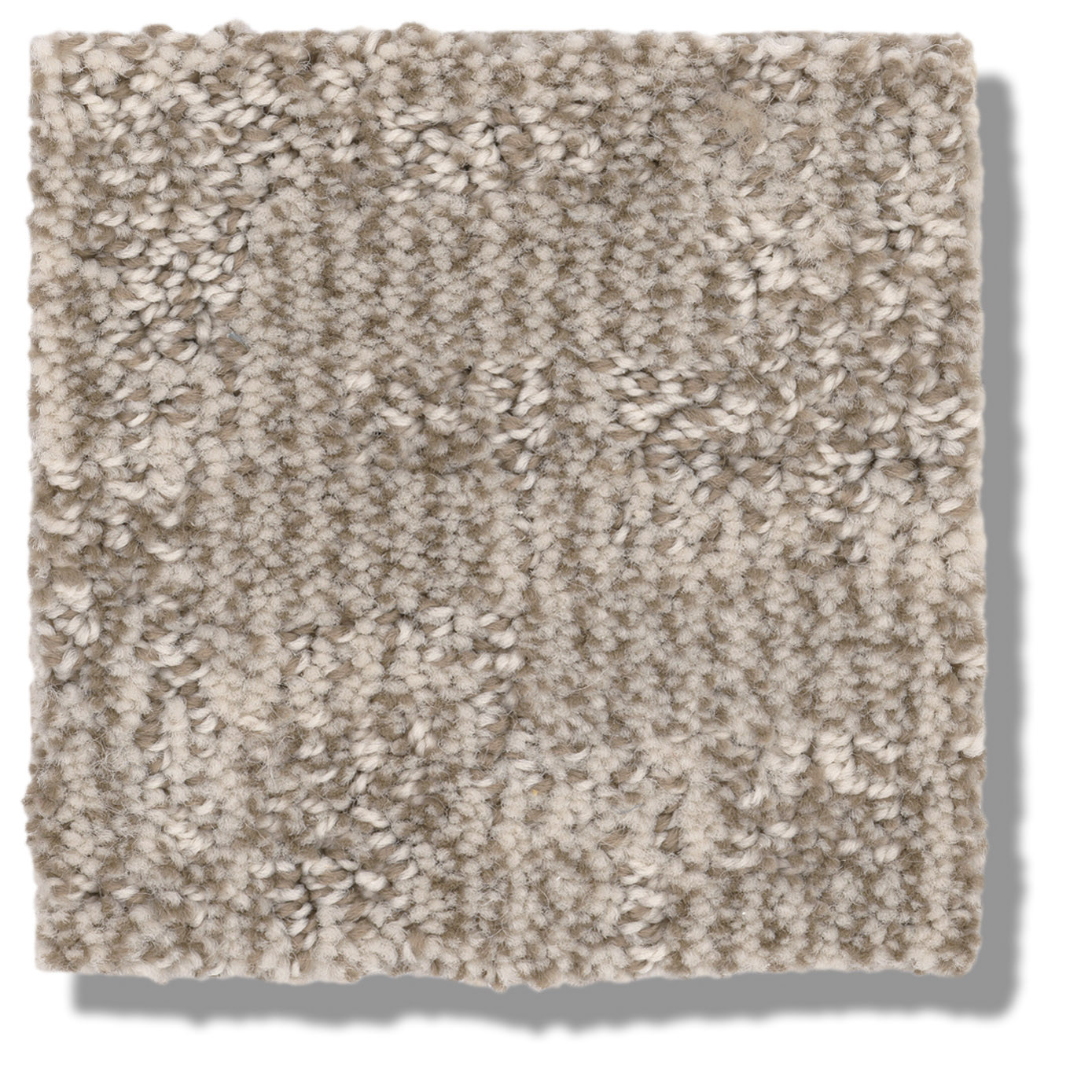 PAW-TAY BIRCH SWATCH