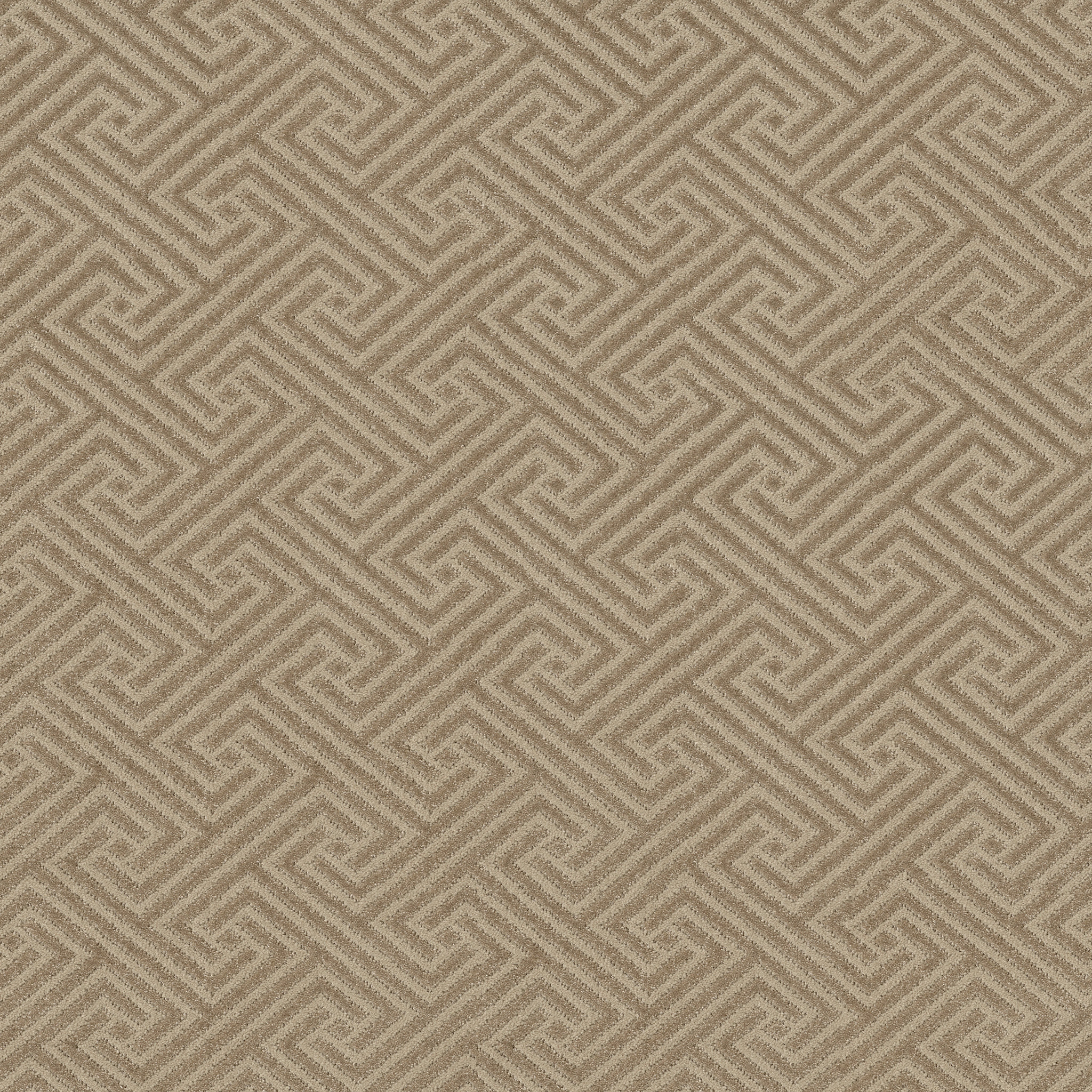 ARTIFACT BIRCHWOOD MAIN