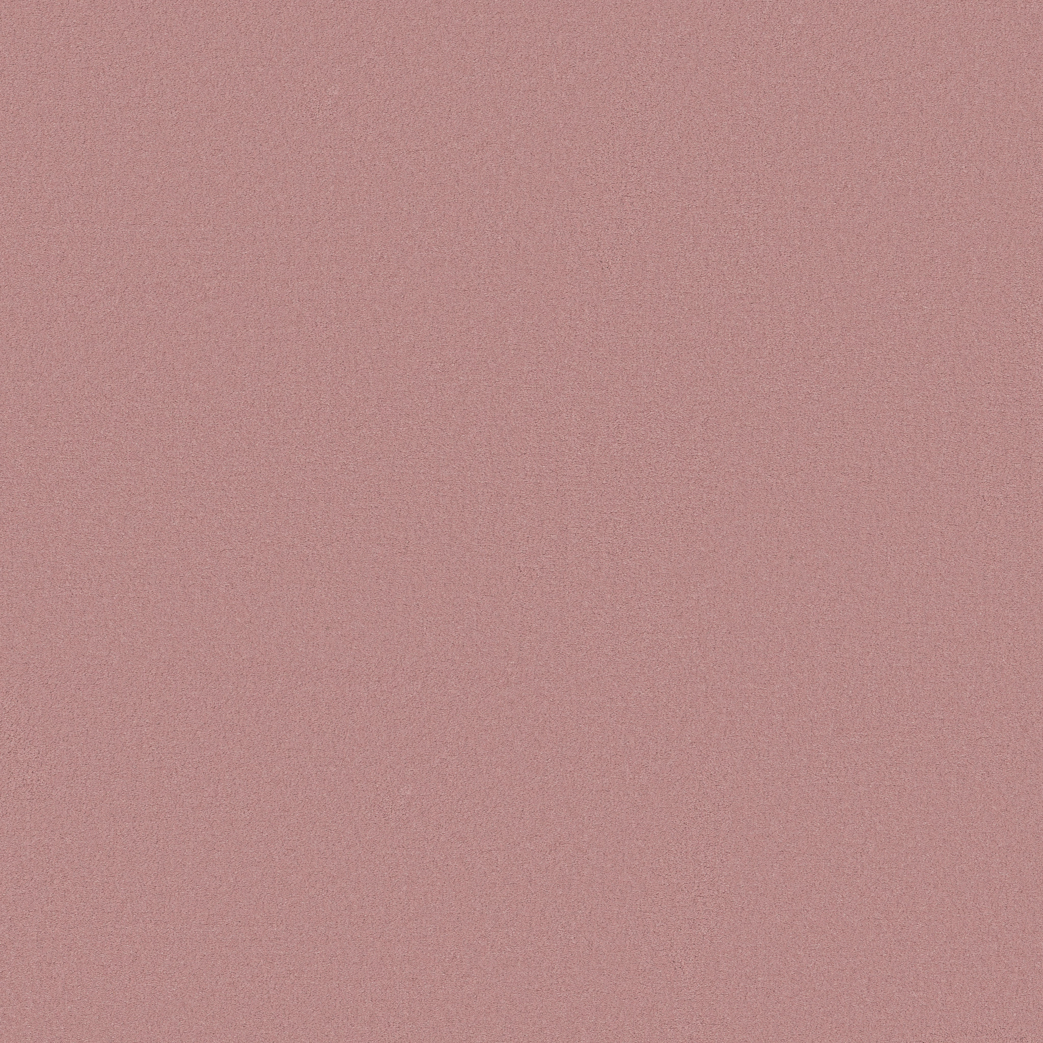 FINERY FIRST KISS MAIN