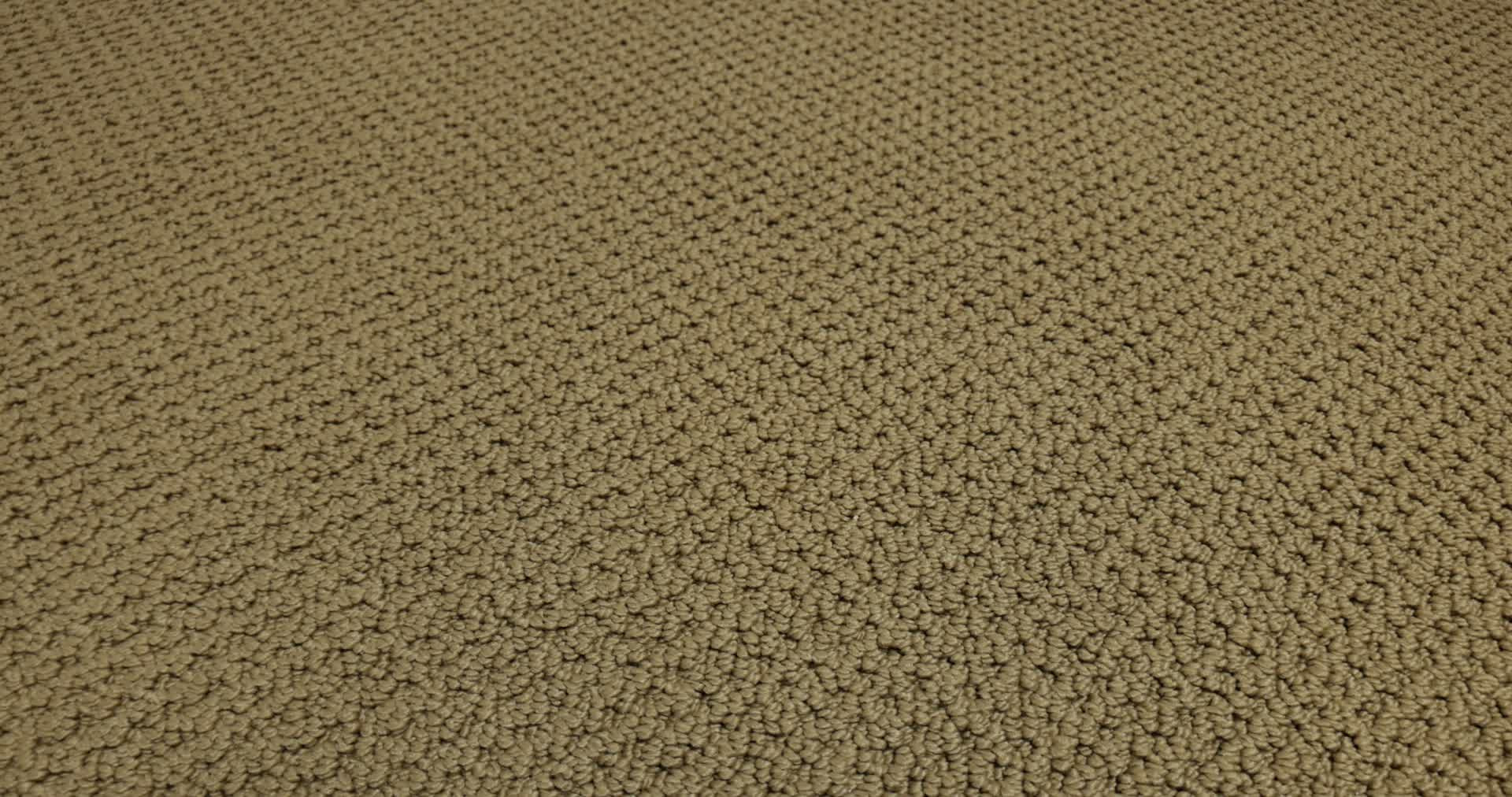 GRACIOUS WARMTH 360PROD