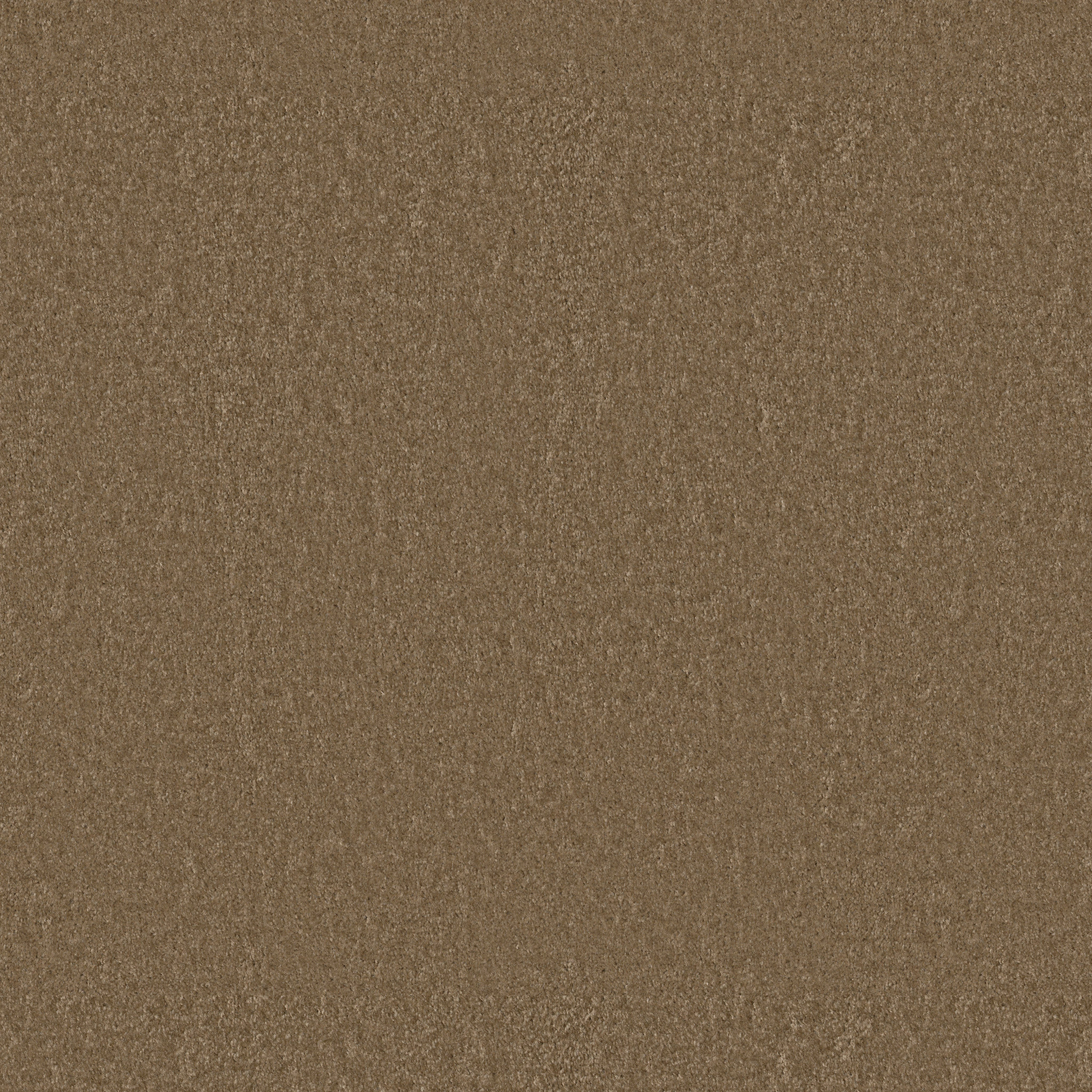 SPRINTER DOWN HOME MAIN