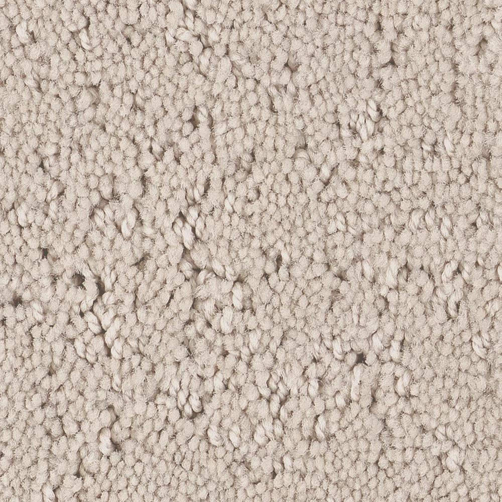REFINED CANVAS NEED A HUG SWATCH