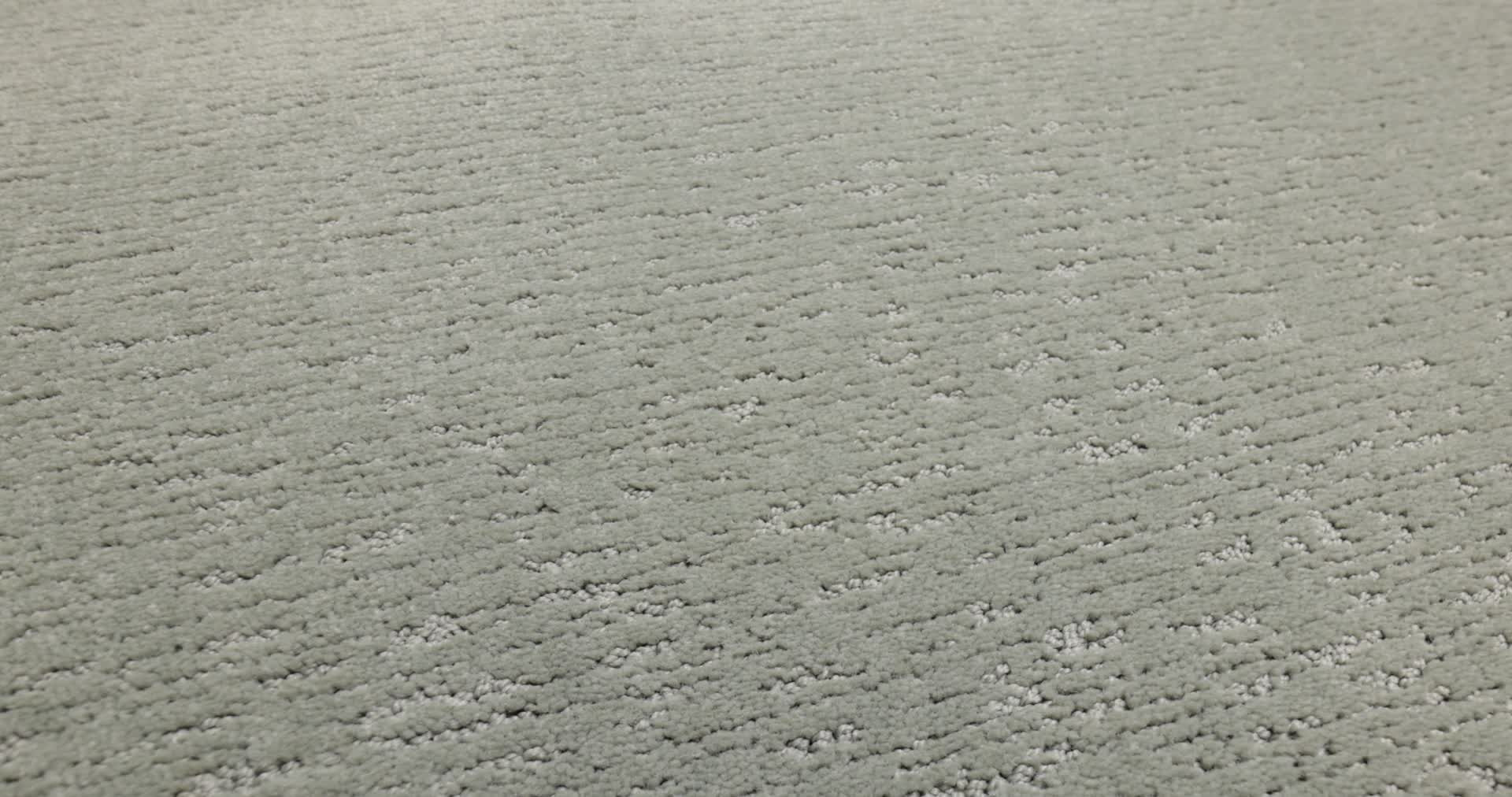 SKETCH PINE FOREST 360PROD