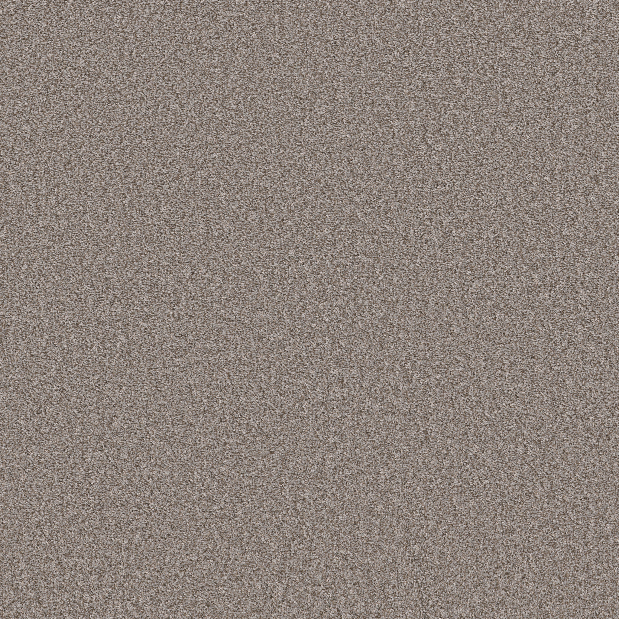 TAKE AWAY (T) HAWK MAIN