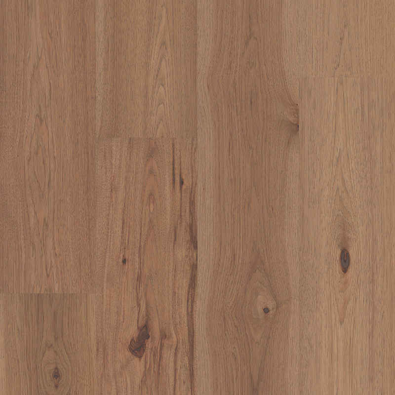 LANDMARK SLICED HICKORY in Cumberland by Shaw Floors
