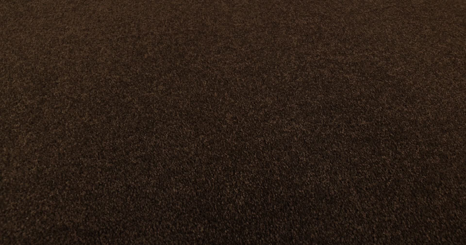 ULTIMATE EXPRESSION 15' COFFEE BEAN 360PROD