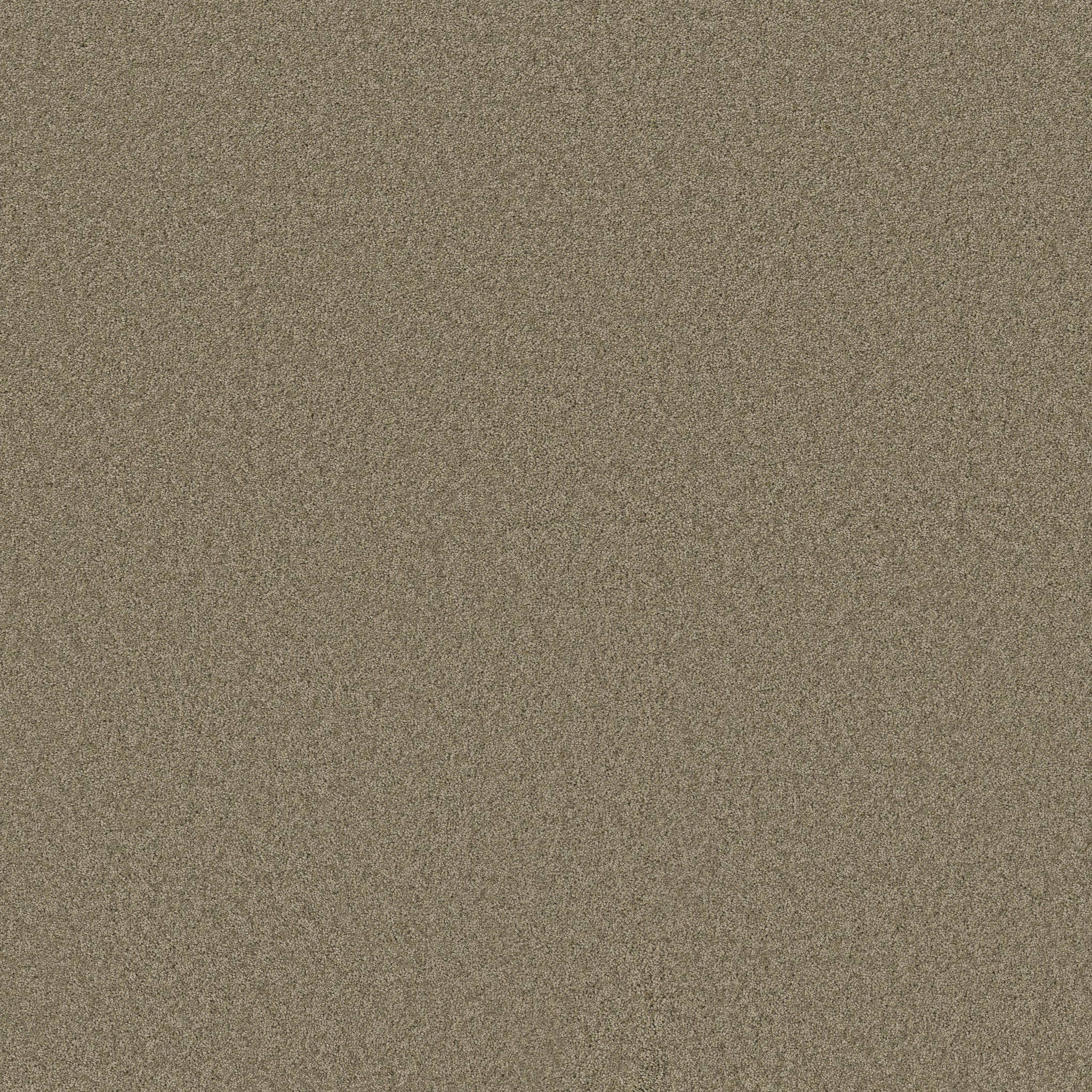 ENCHANTING SLATE MAIN