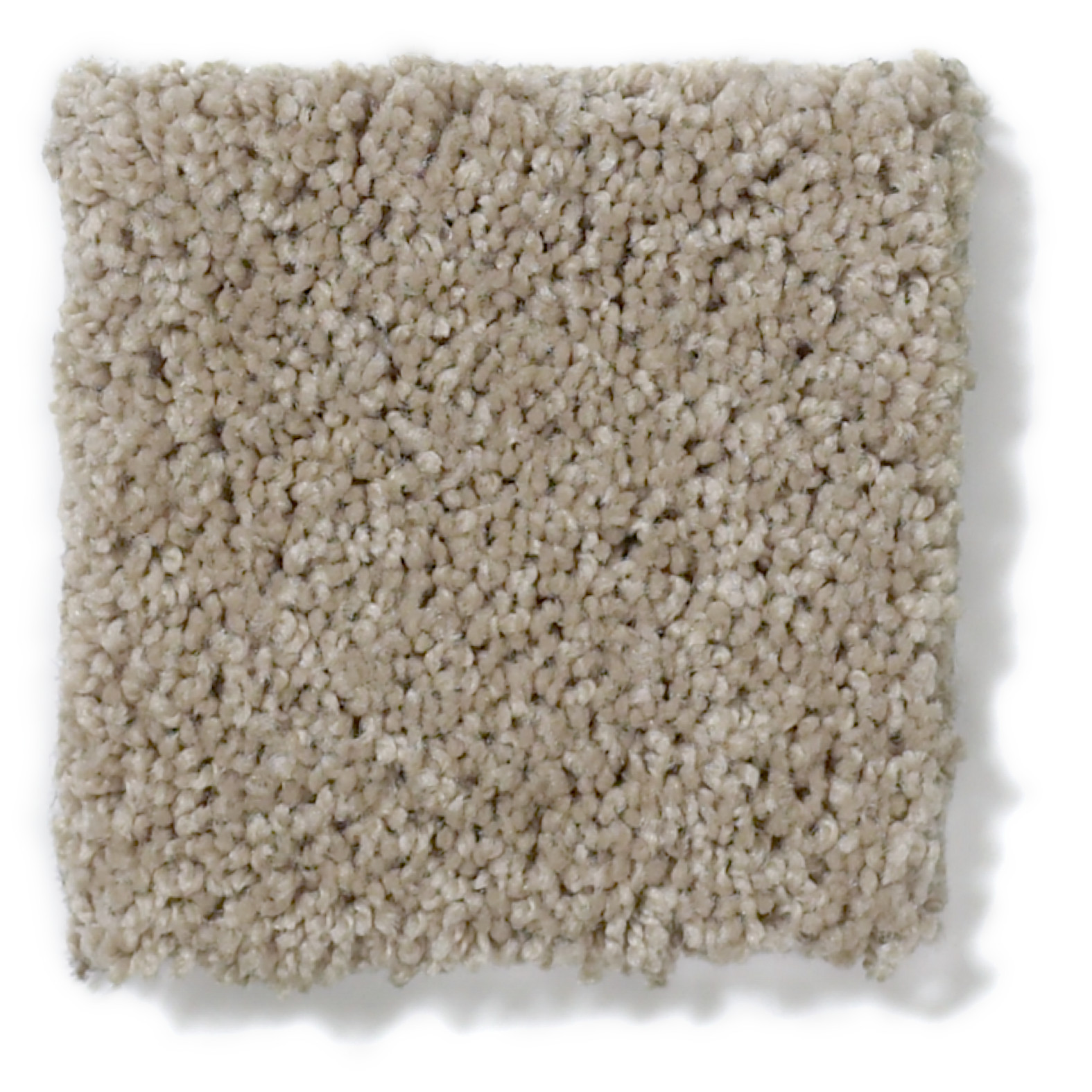 SALINA I OYSTER SWATCH