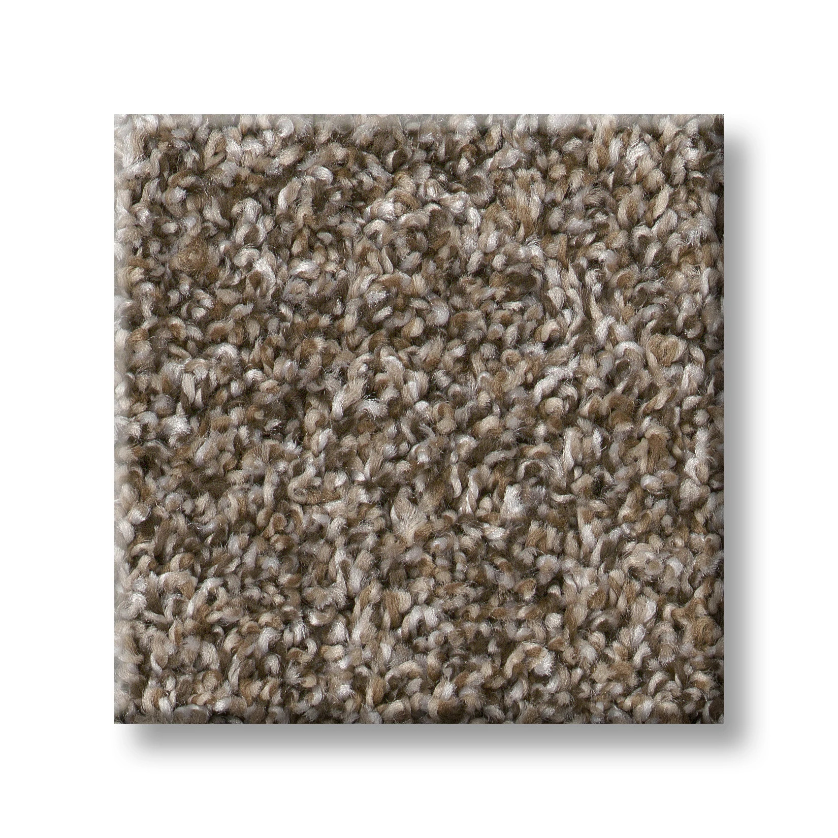 SOFT EFFERVESCENCE MOCHA LATTE' SWATCH