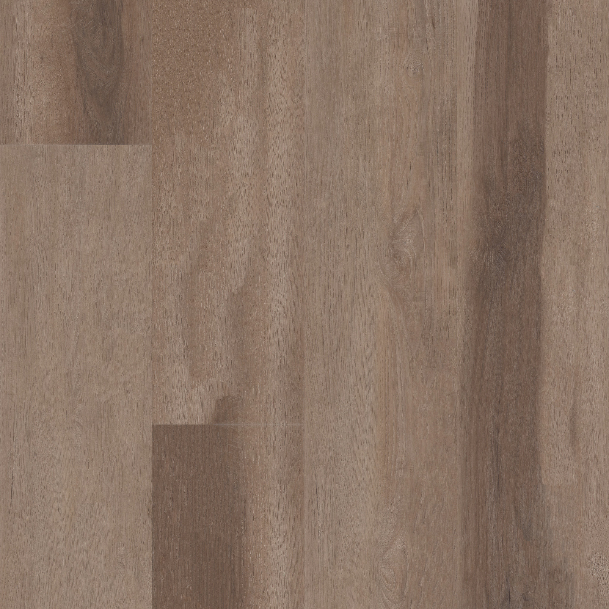 Aspire Natural Bevel - in Trailblazer Brown | Shaw Floors