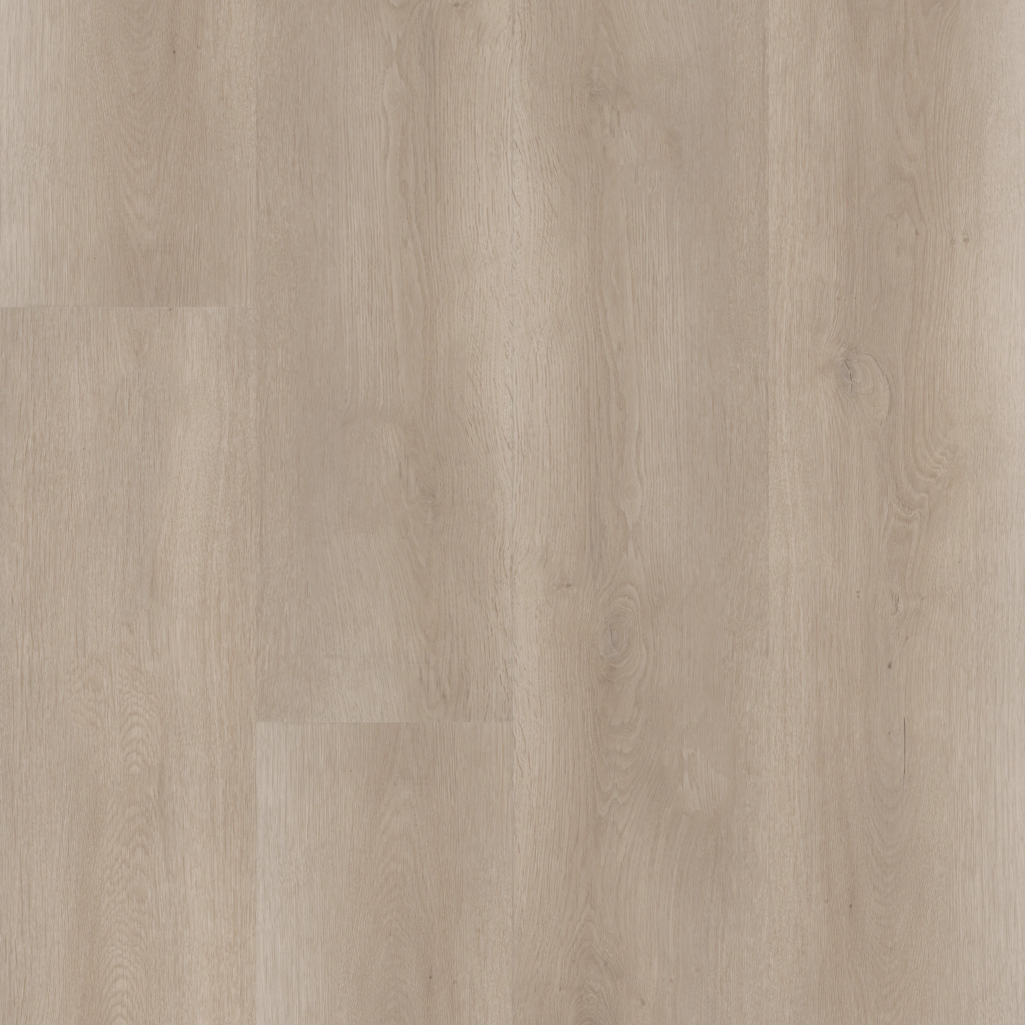 Aspire Natural Bevel - in Mineral Grey | Shaw Floors