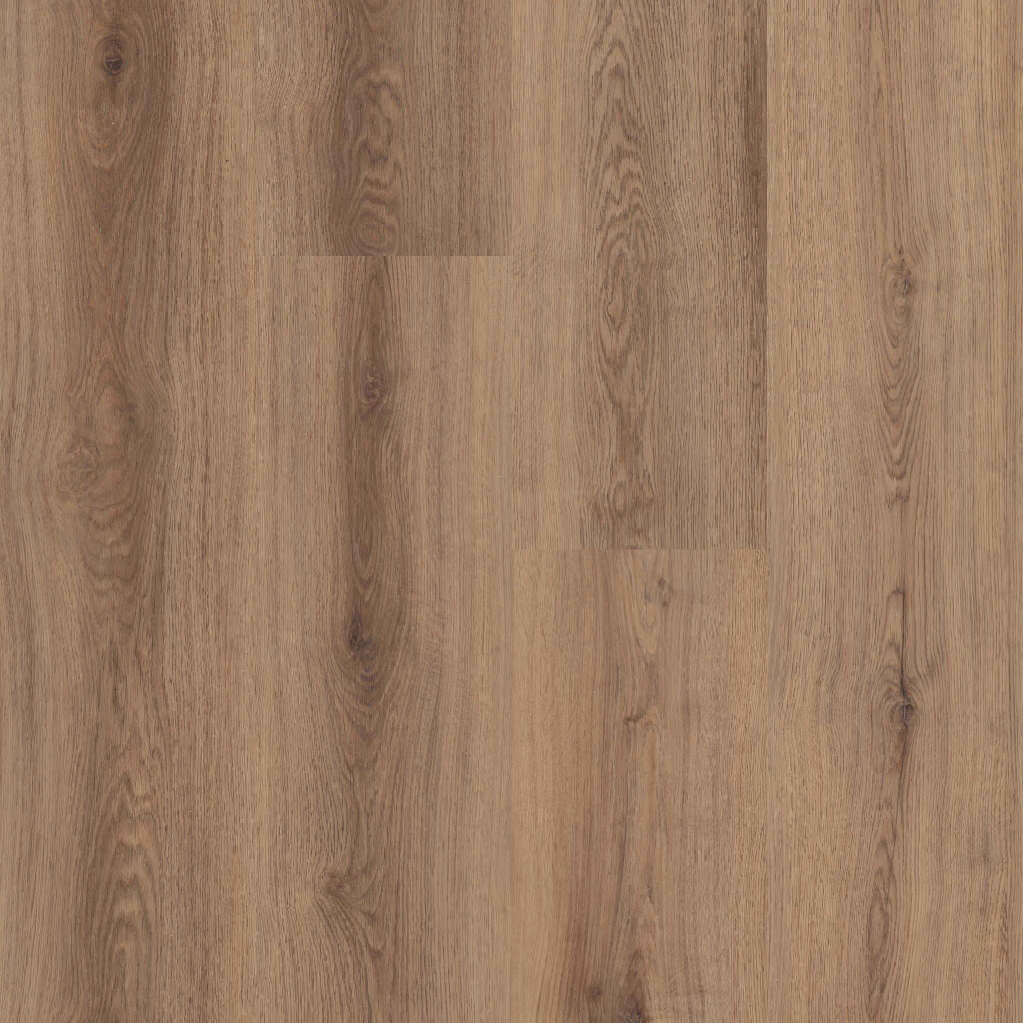 Briard by Shaw Floors
