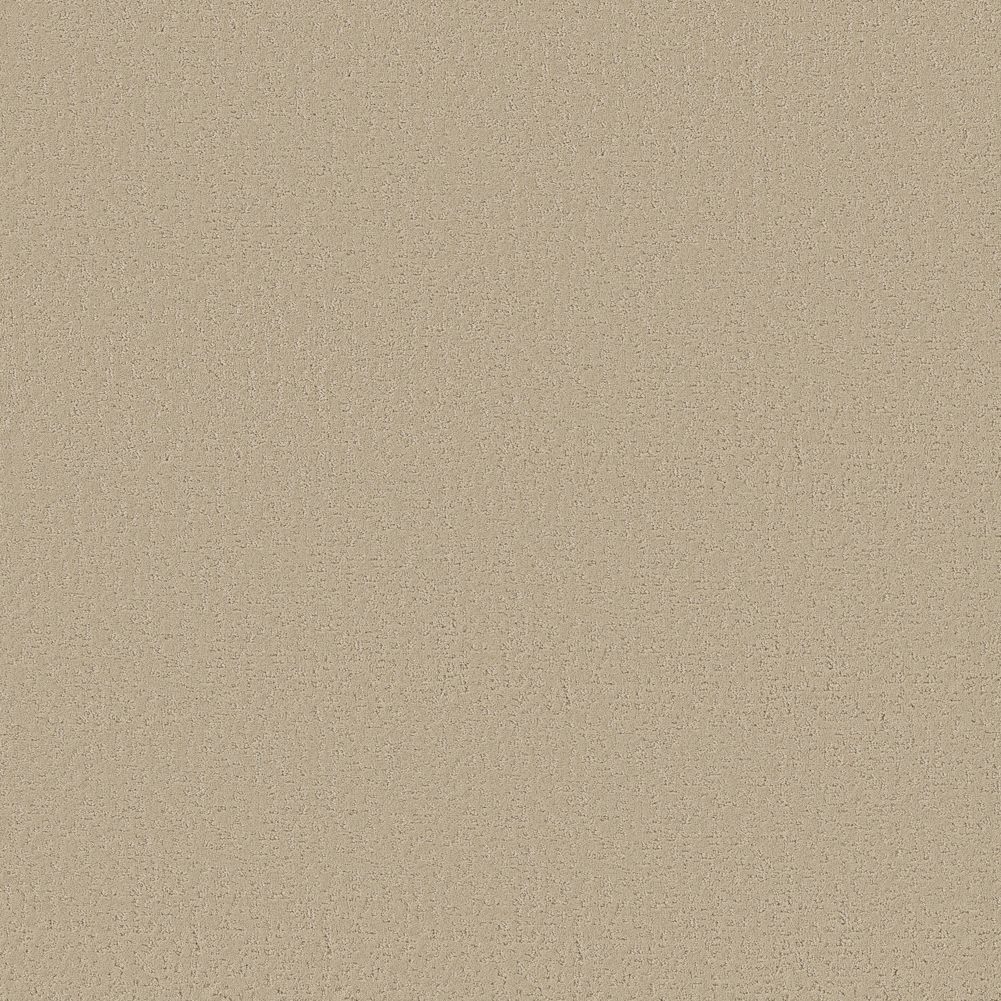 CRAFTED TONE BLUE SAFARI MAIN