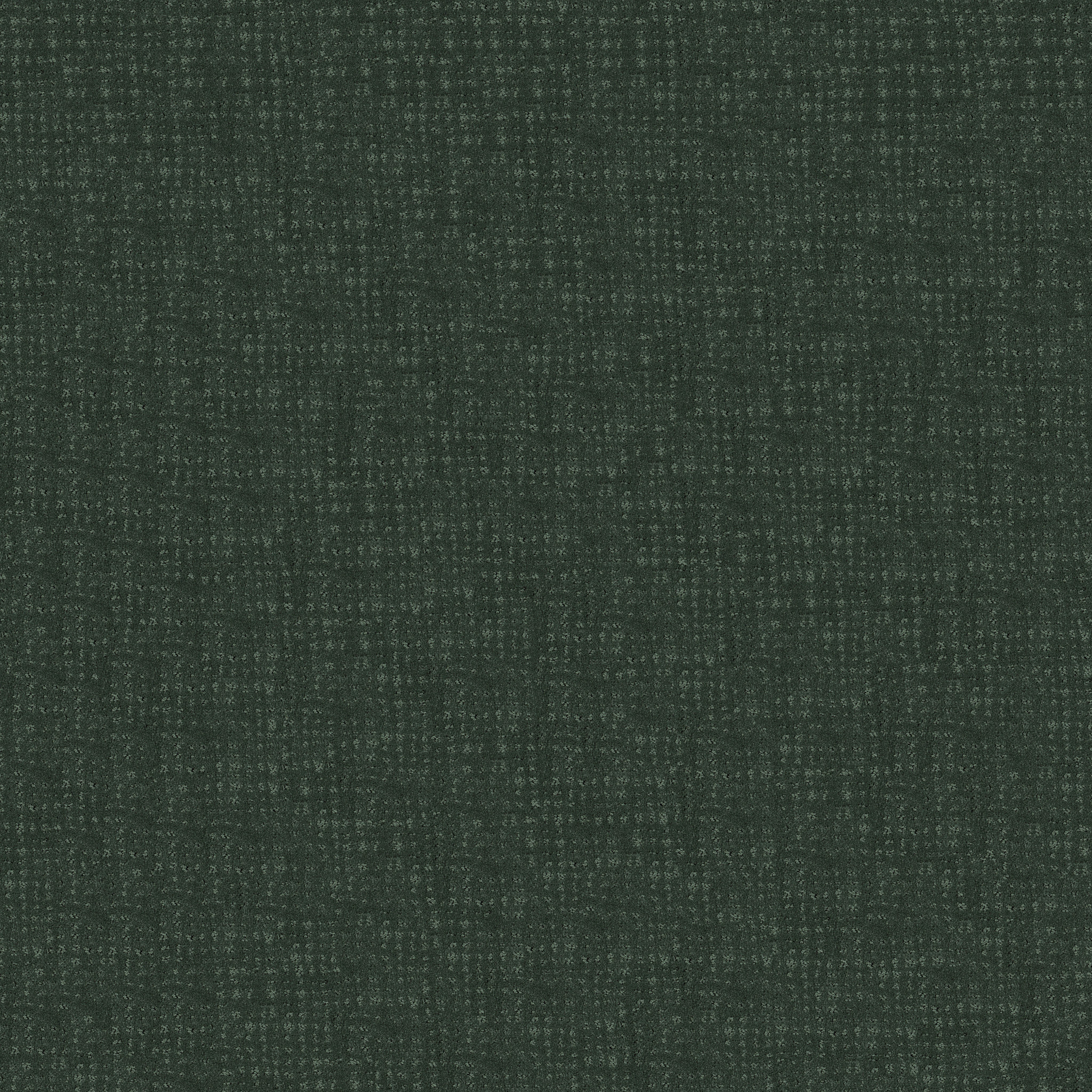 VIVID MEMORIES MAGNOLIA BRANCH MAIN