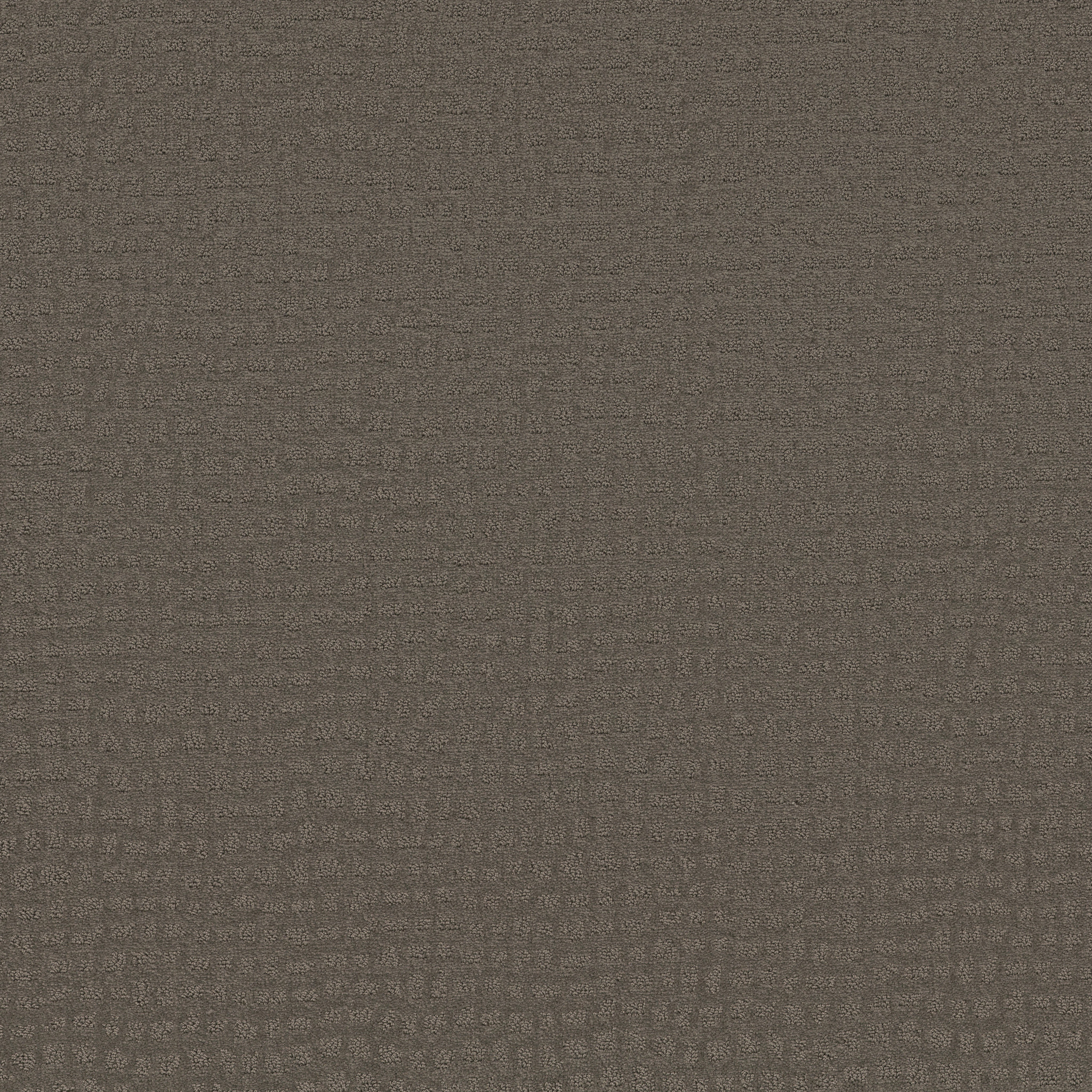 SOLSTICE POTTING SOIL MAIN