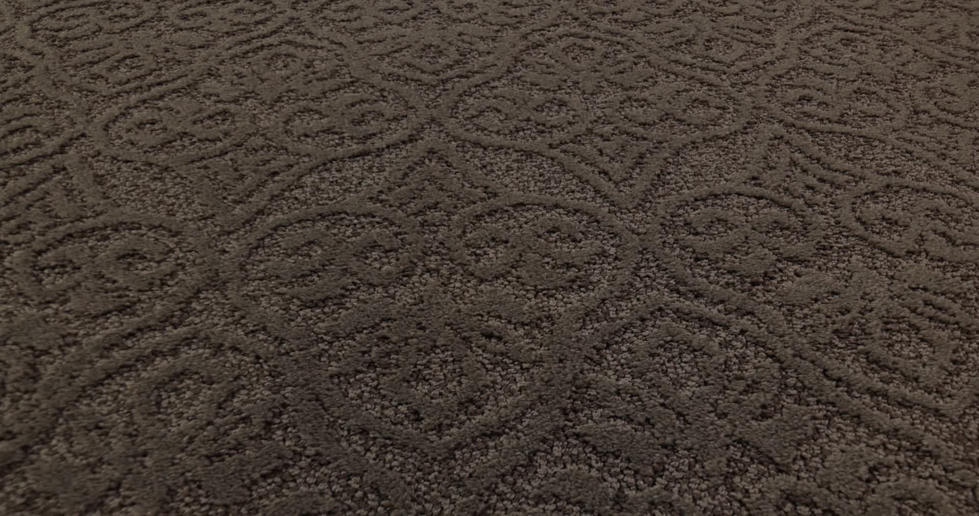 MODERN AMENITIES CHINCHILLA 360PROD