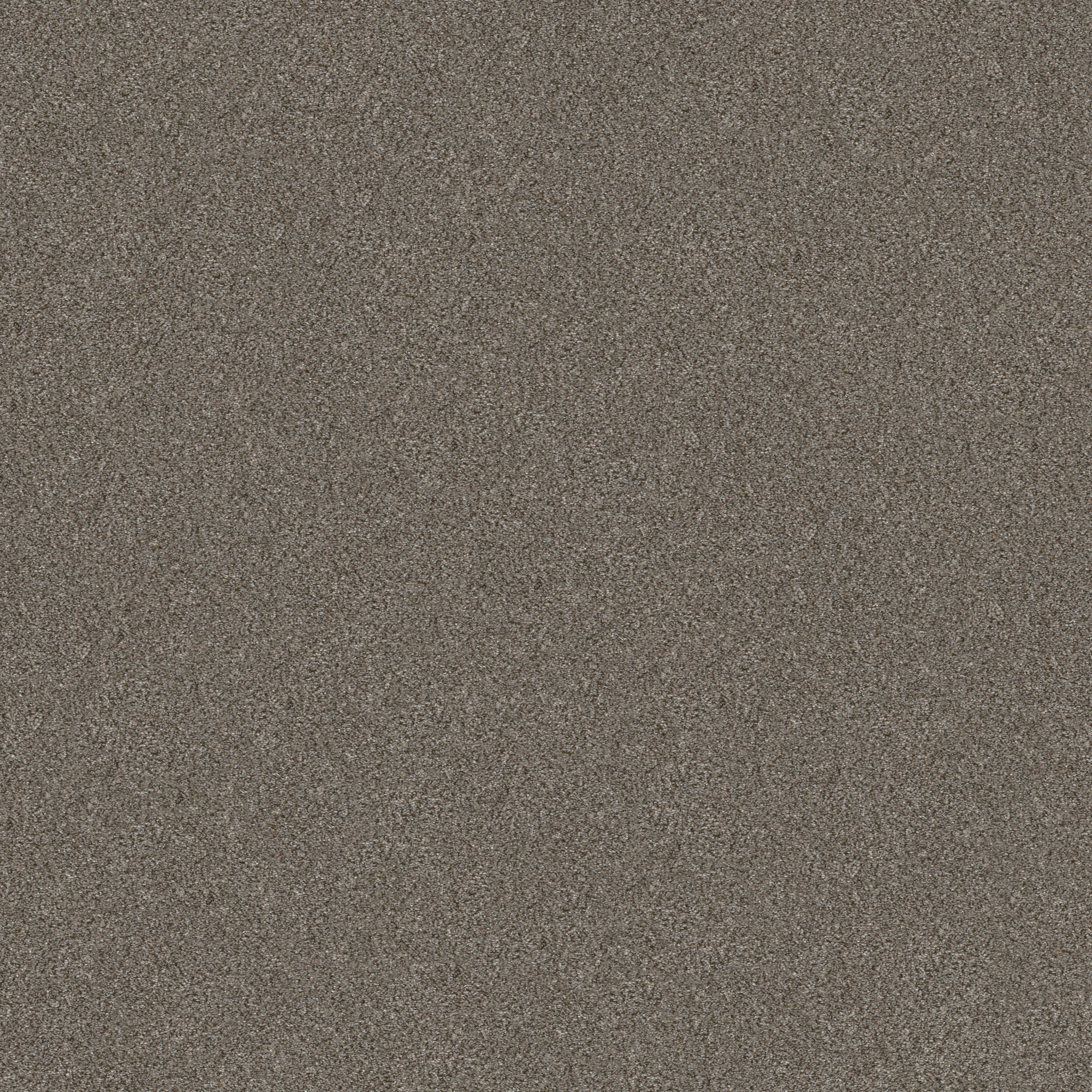 WITHOUT LIMITS III MISTY MICA MAIN