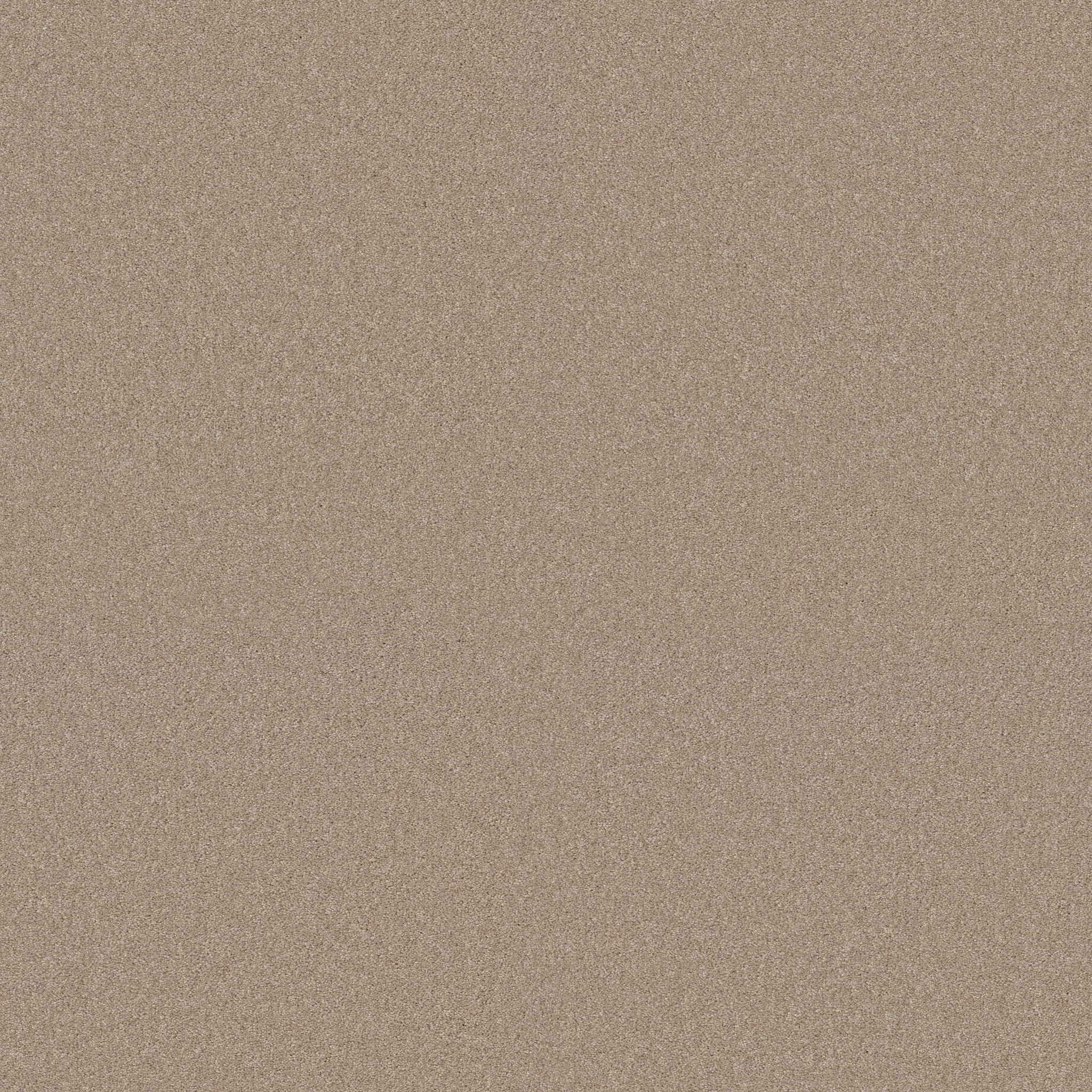 AG EXCEPTIONAL SAND PEBBLE MAIN